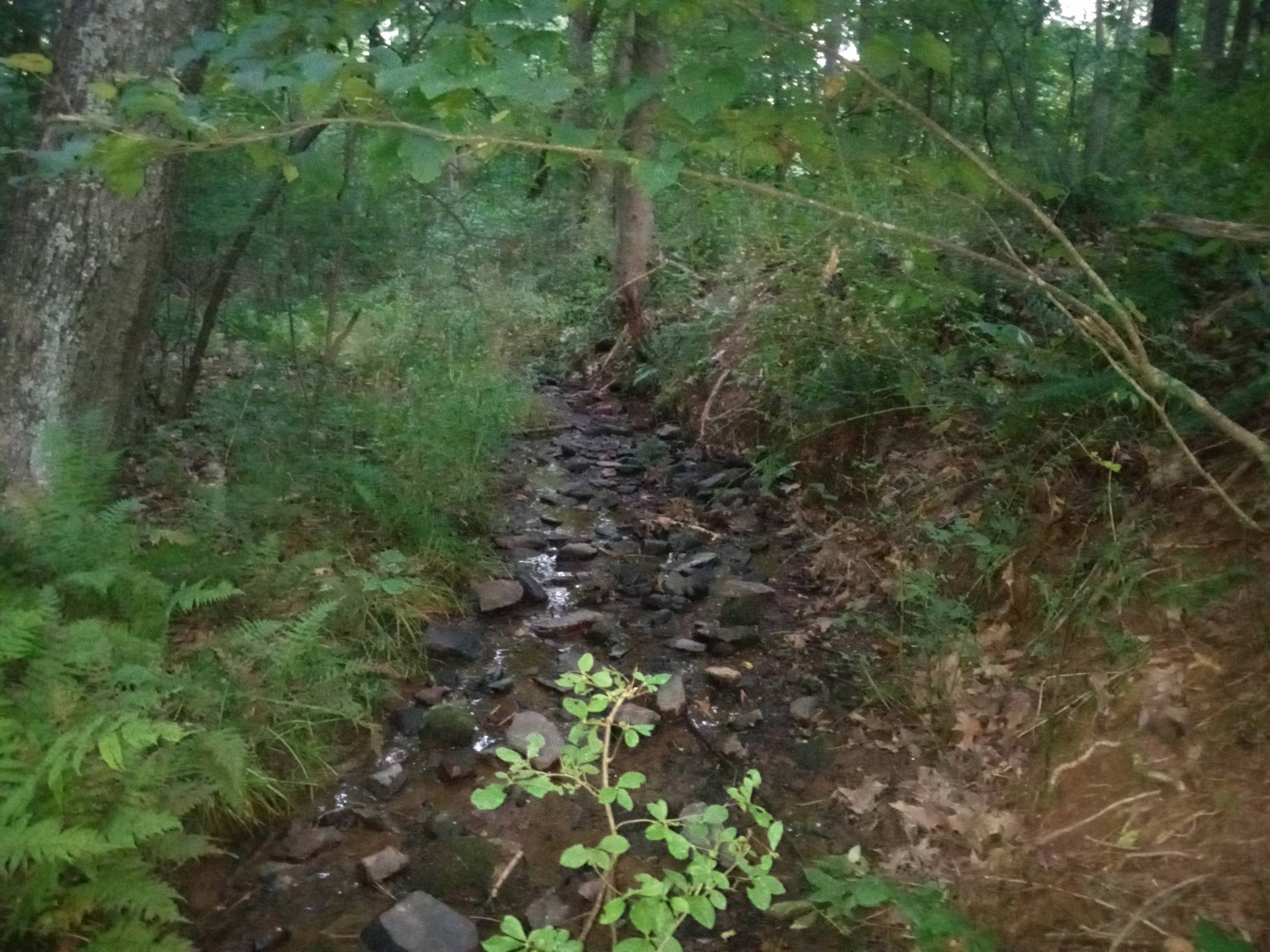 The Mountian Stream