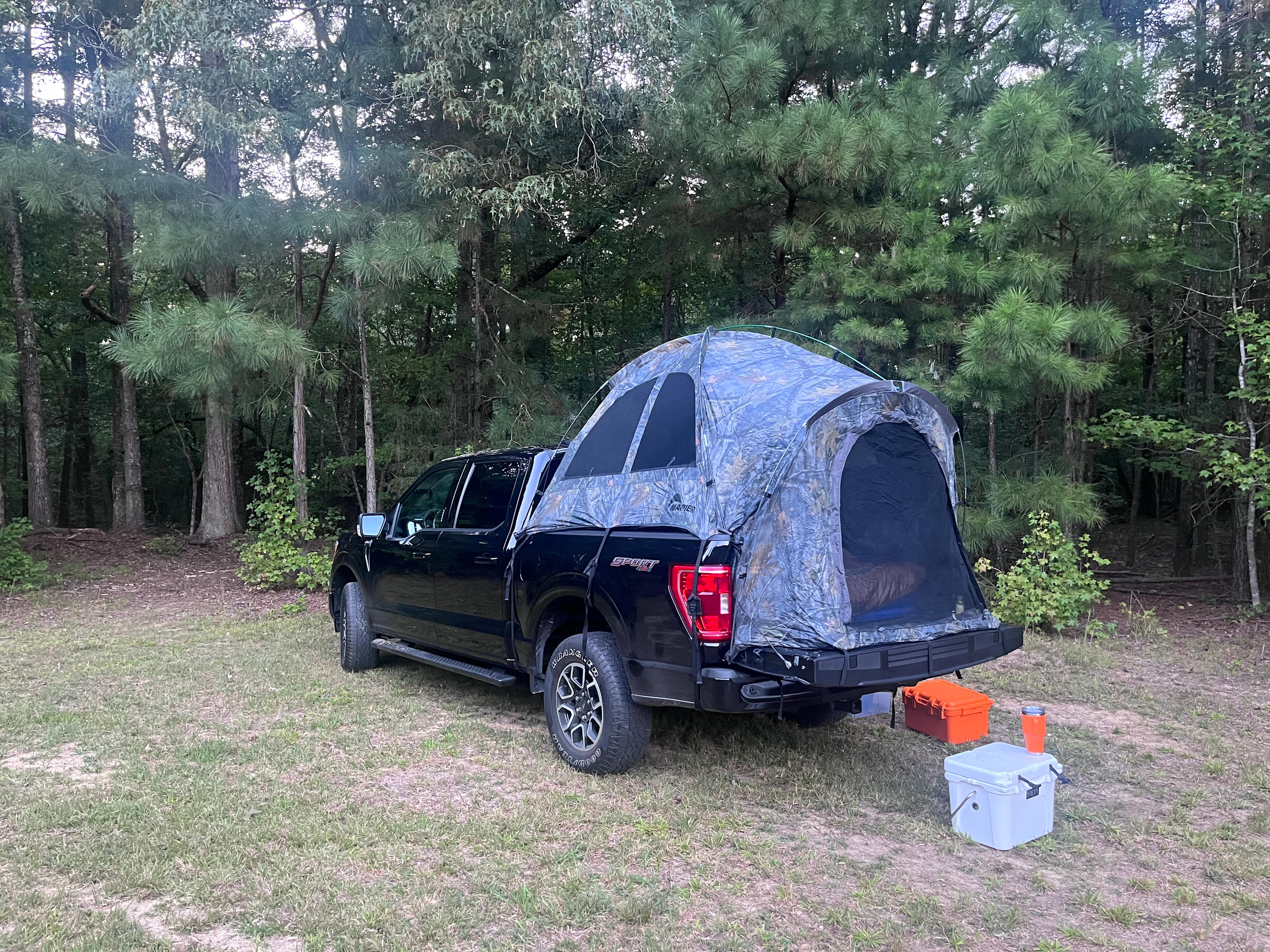 Rural Chapel Hill Forestry Stay