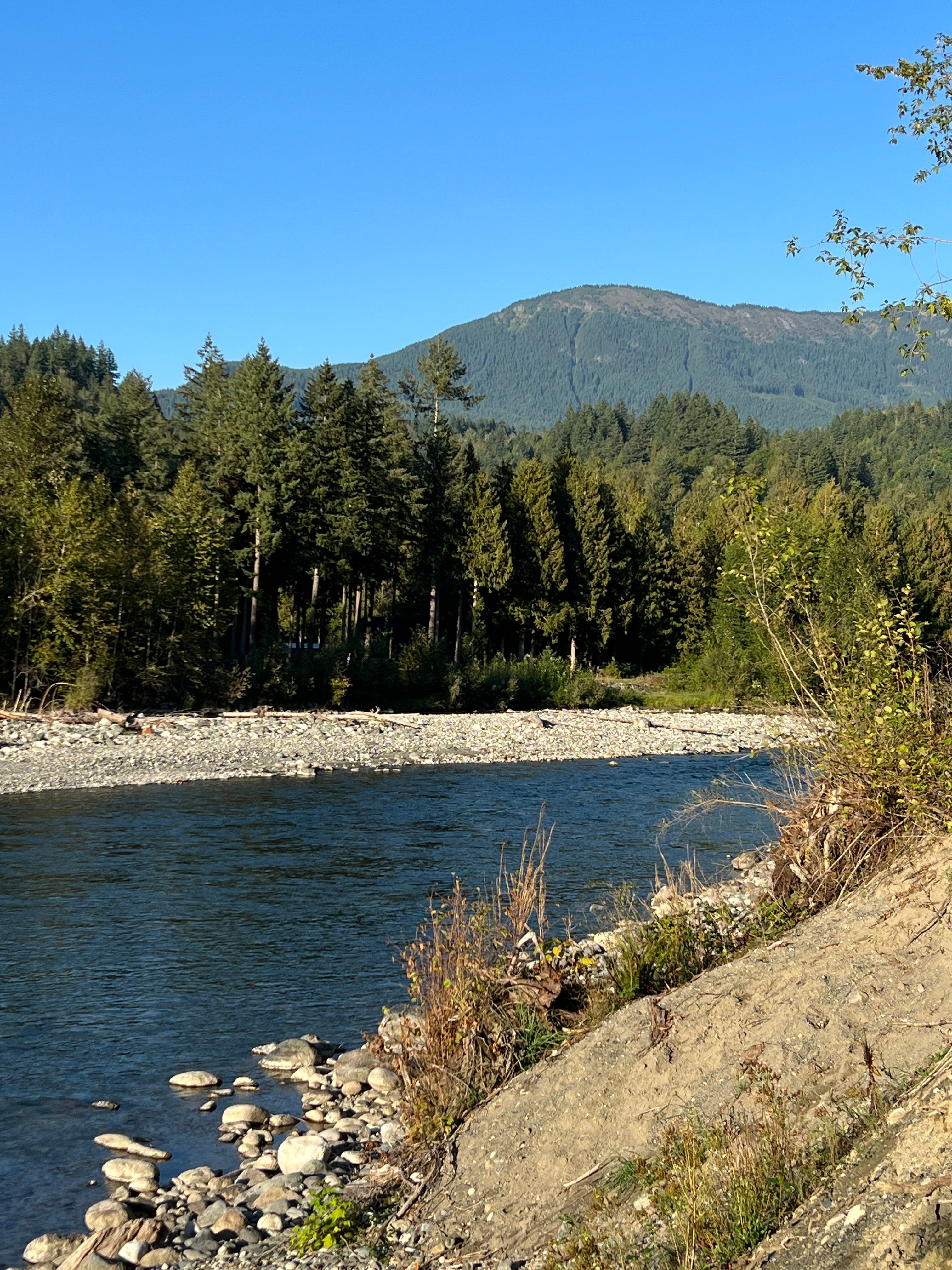 Tamihi Meadows Cabins & RV Park