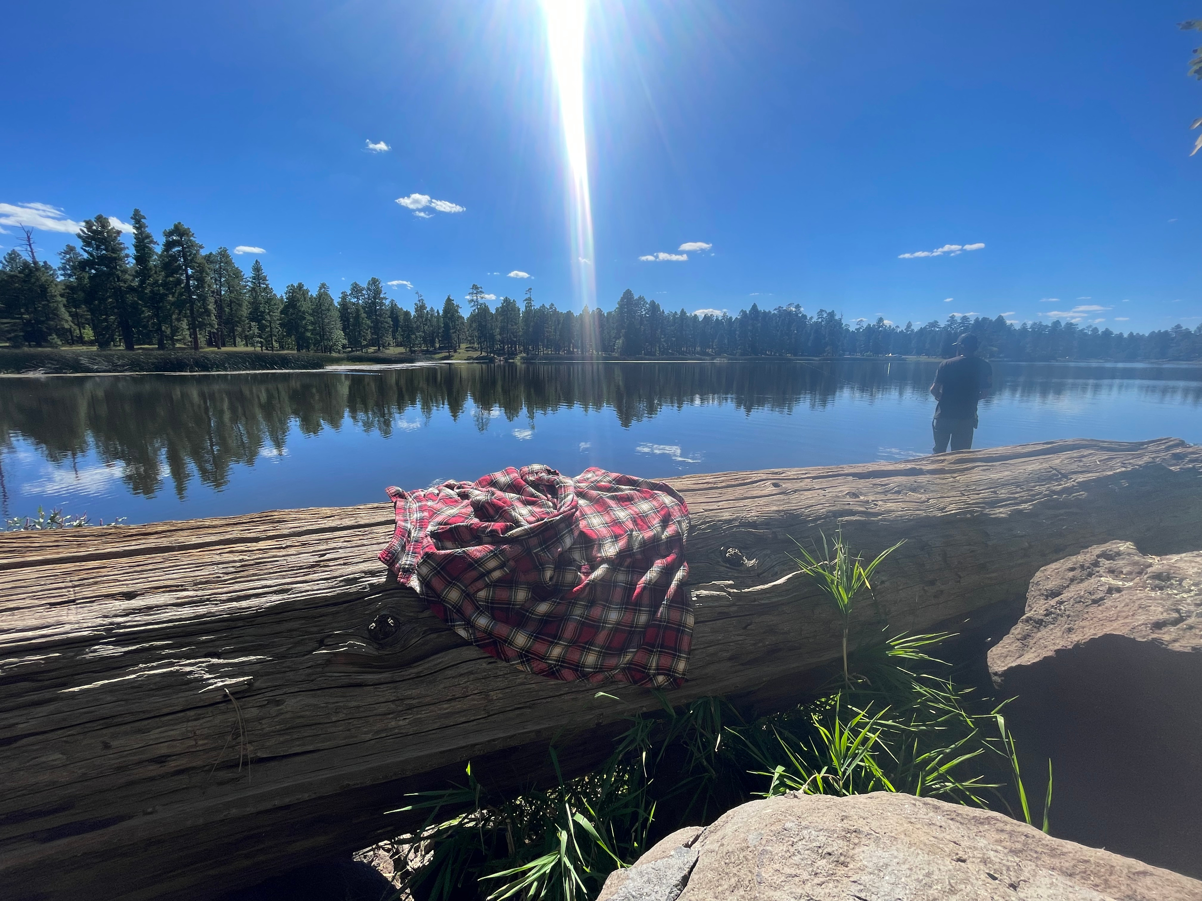 Kaibab National Forest