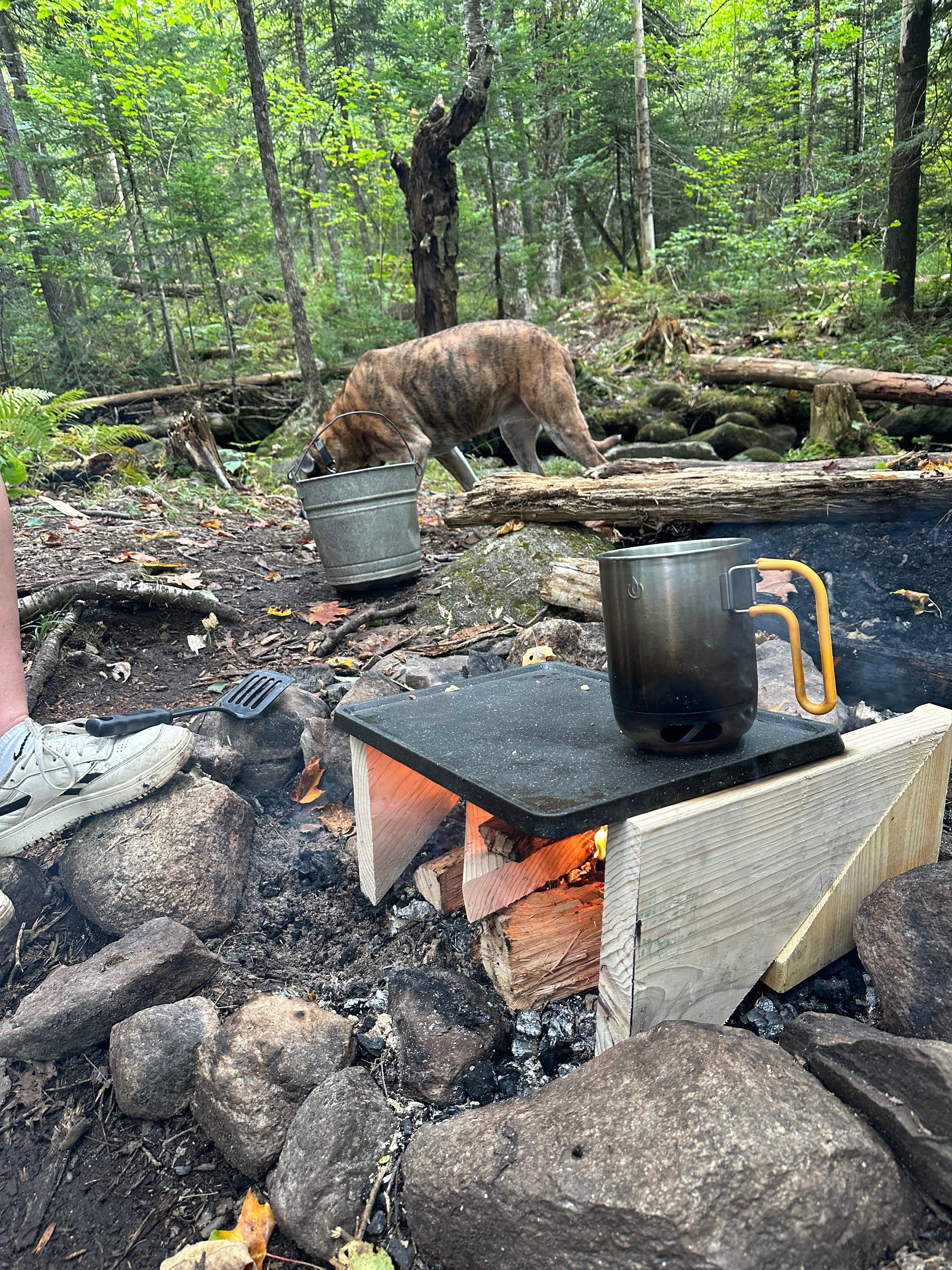Franconia Forest - 5 Private Acres