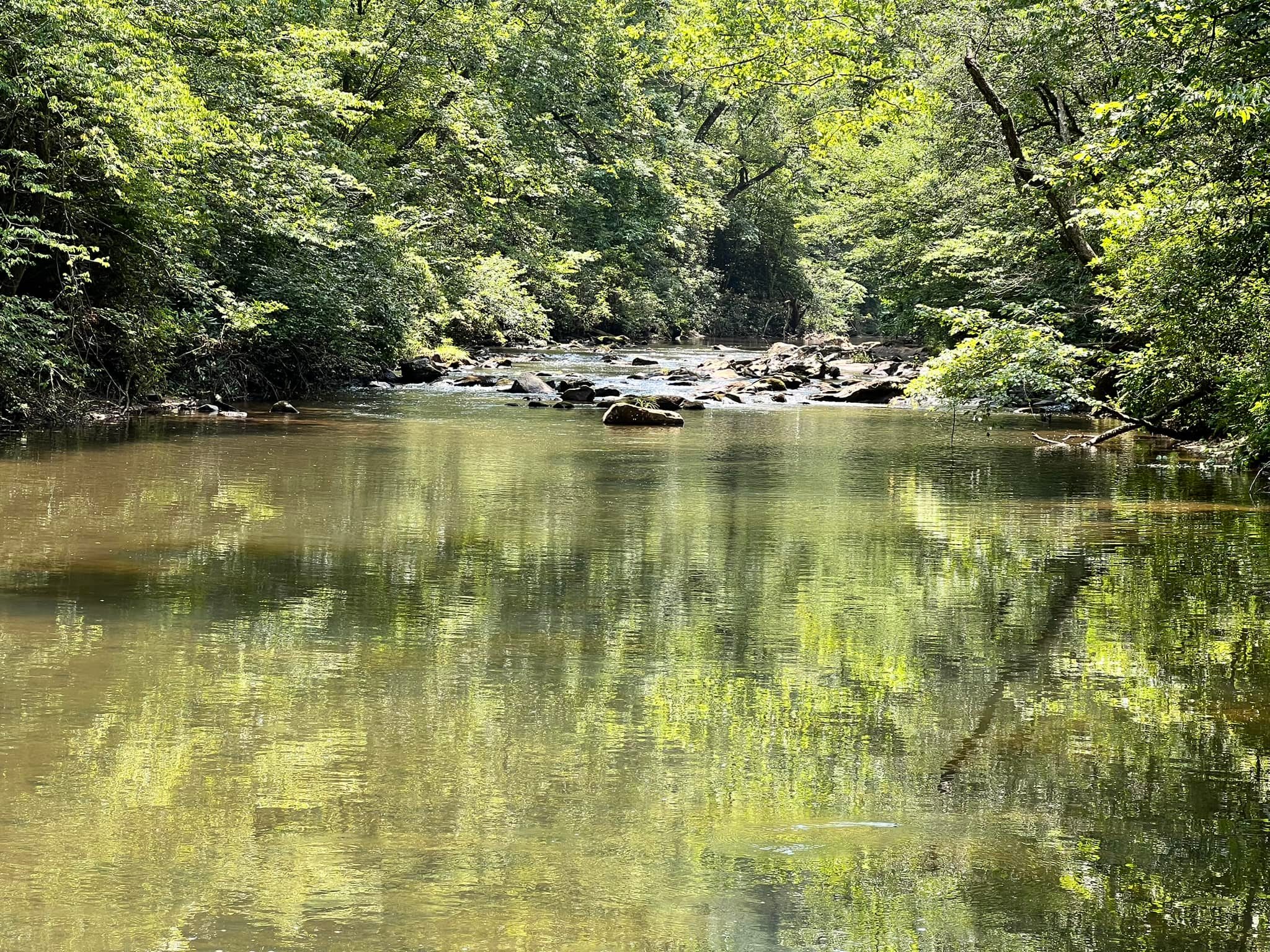 The River-Monthly and daily Sites