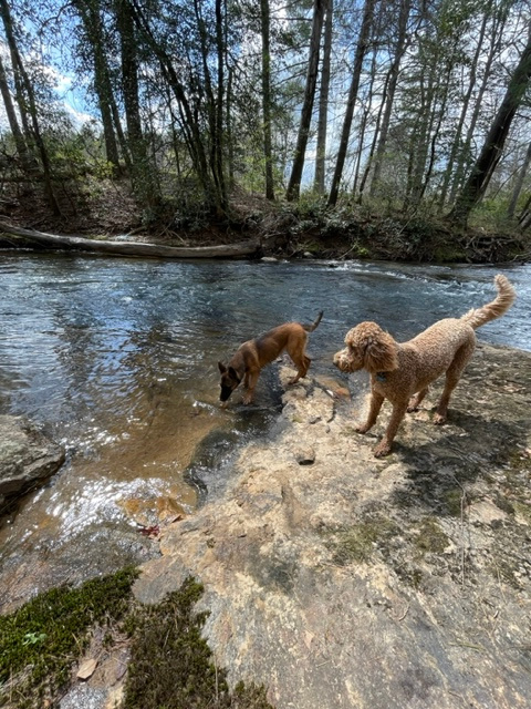 The River-Monthly and daily Sites