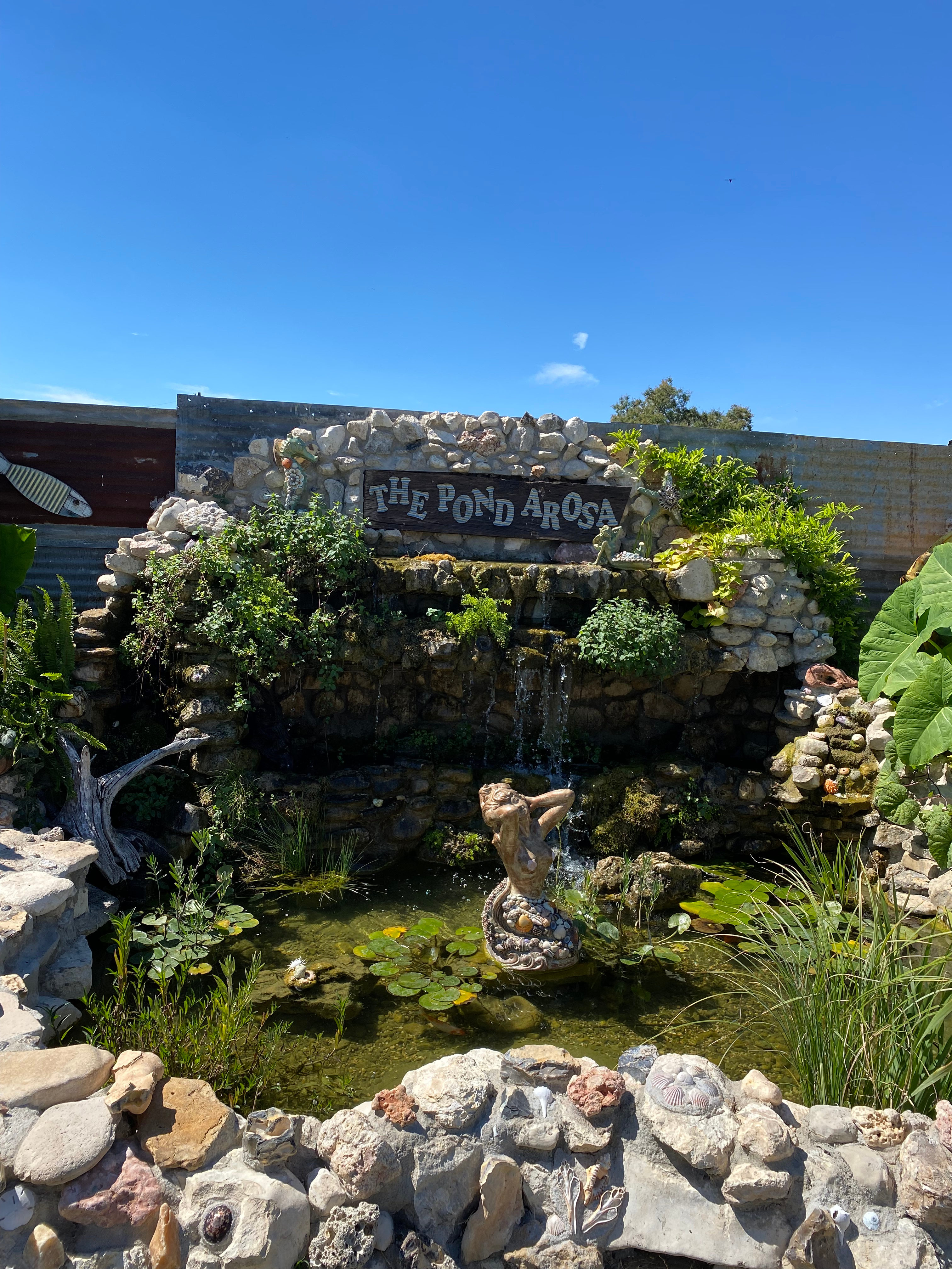 The Pondarosa