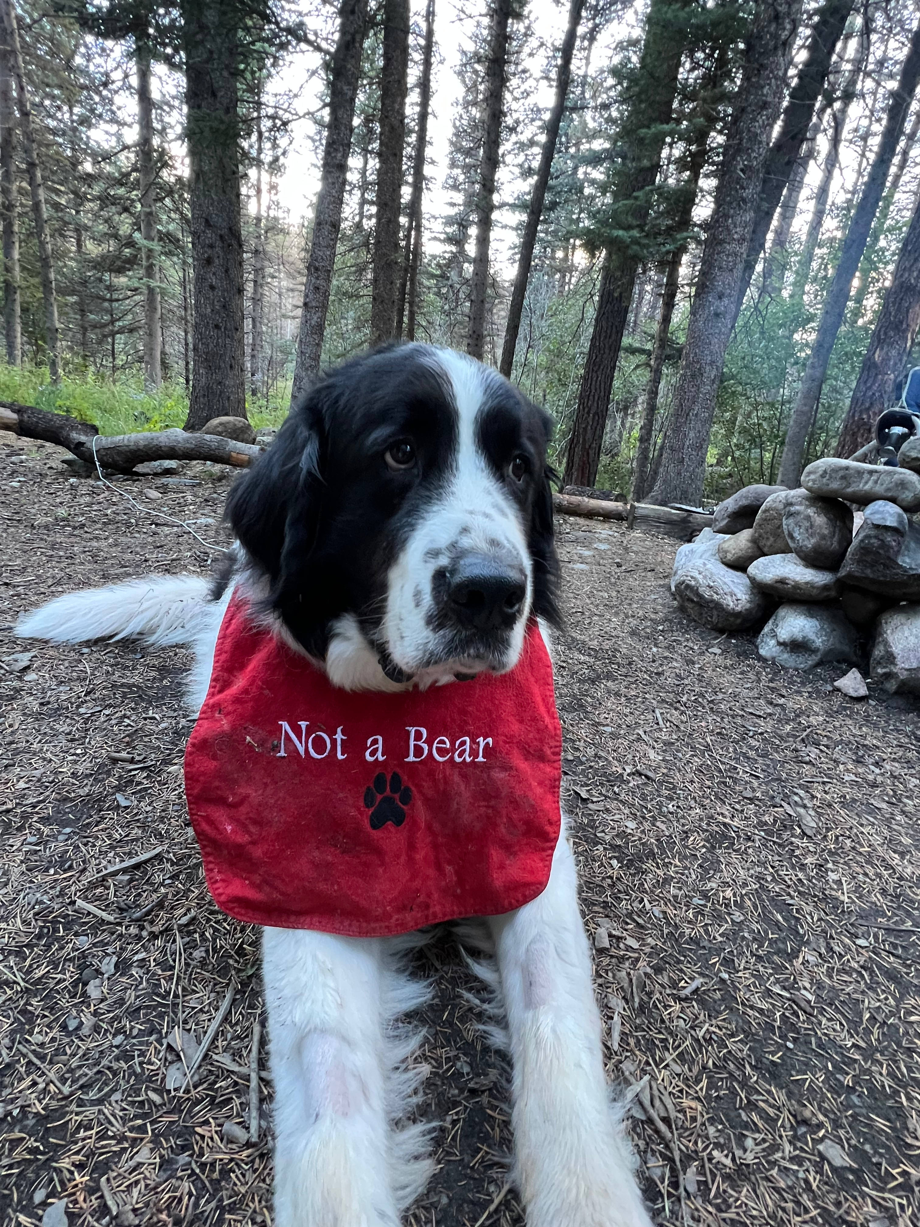 Jughead making sure he got as dirty as possible