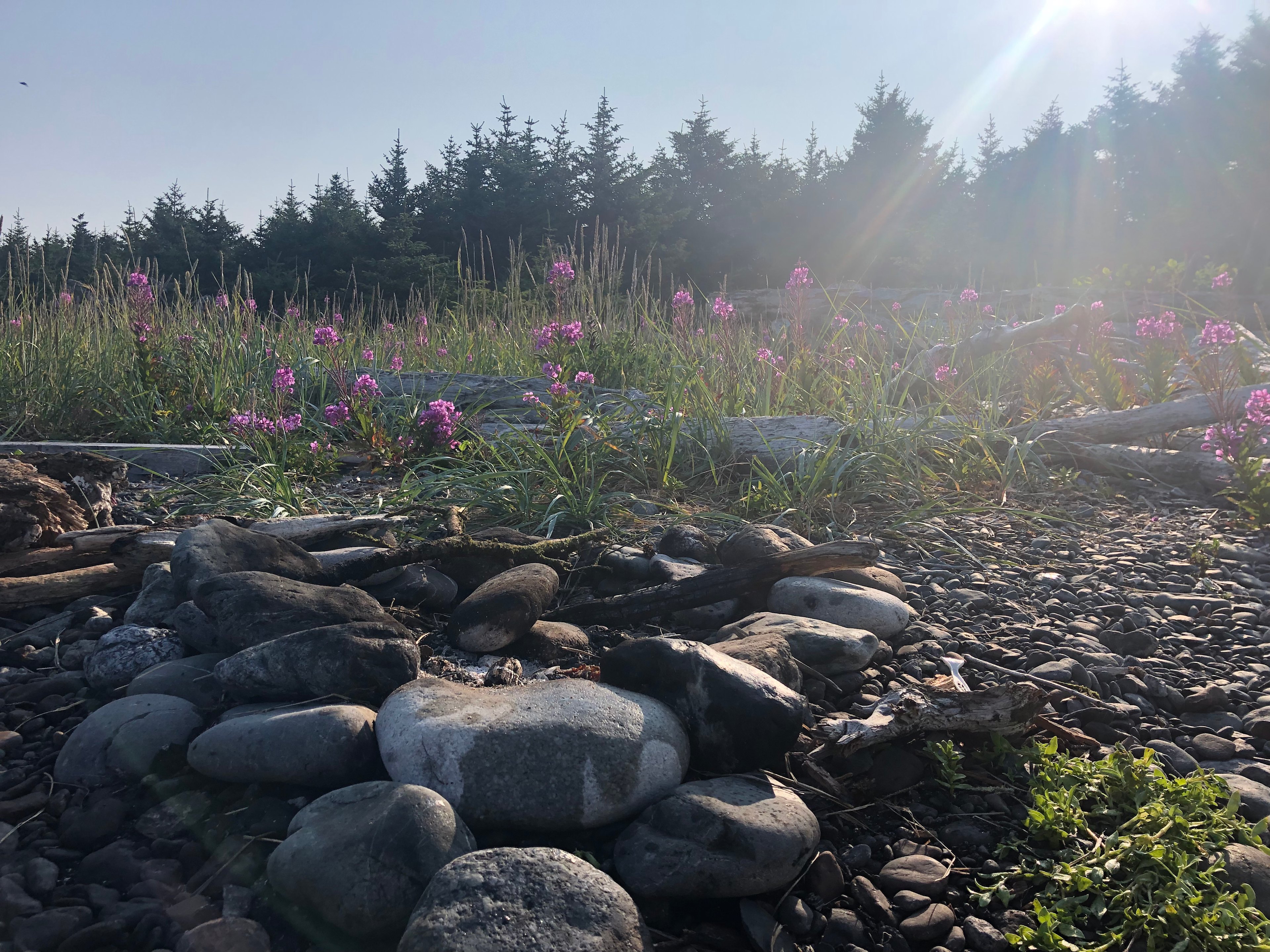 Pearl (Perl) Island Cabin