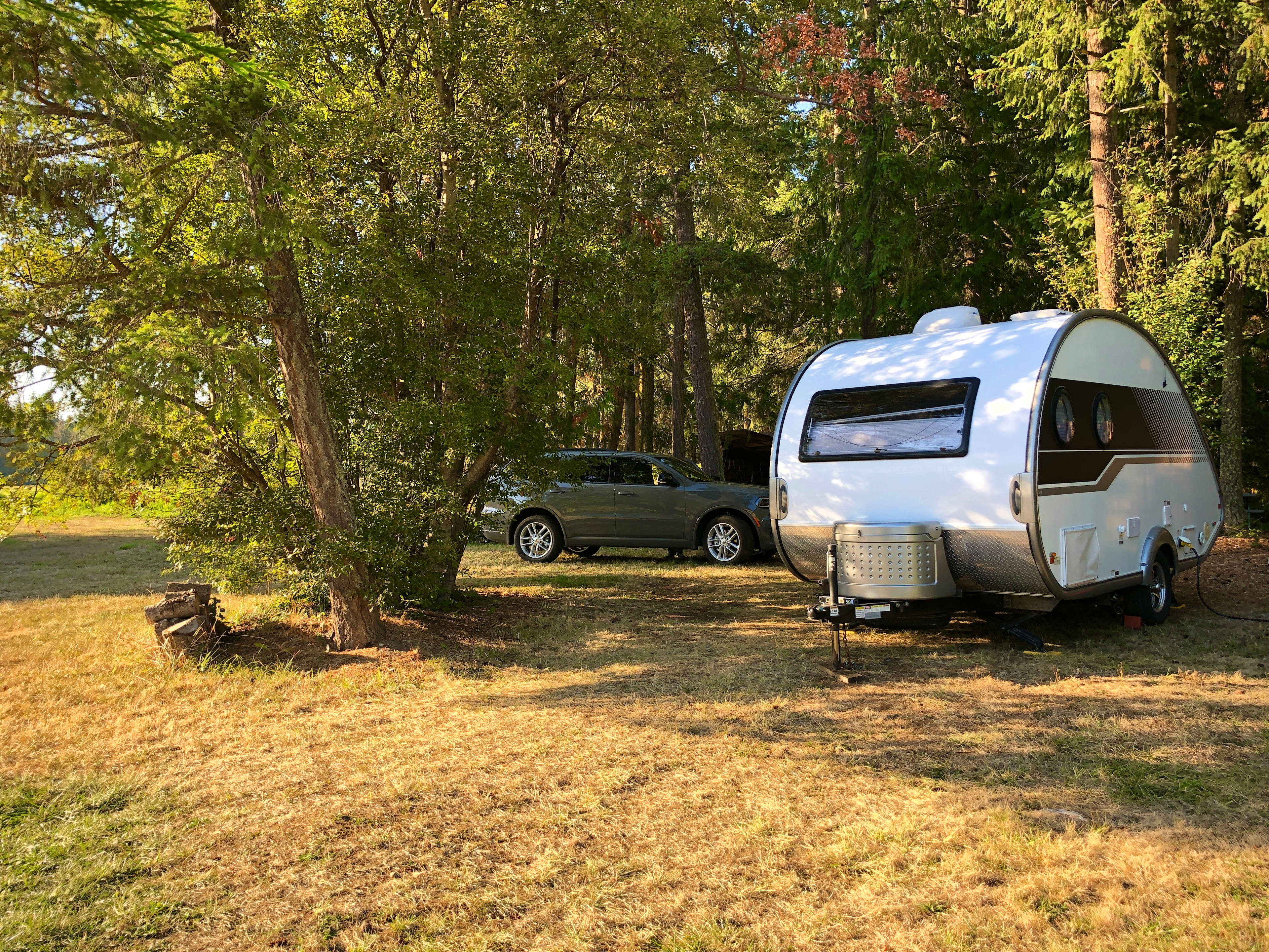 Nestled in the Trees