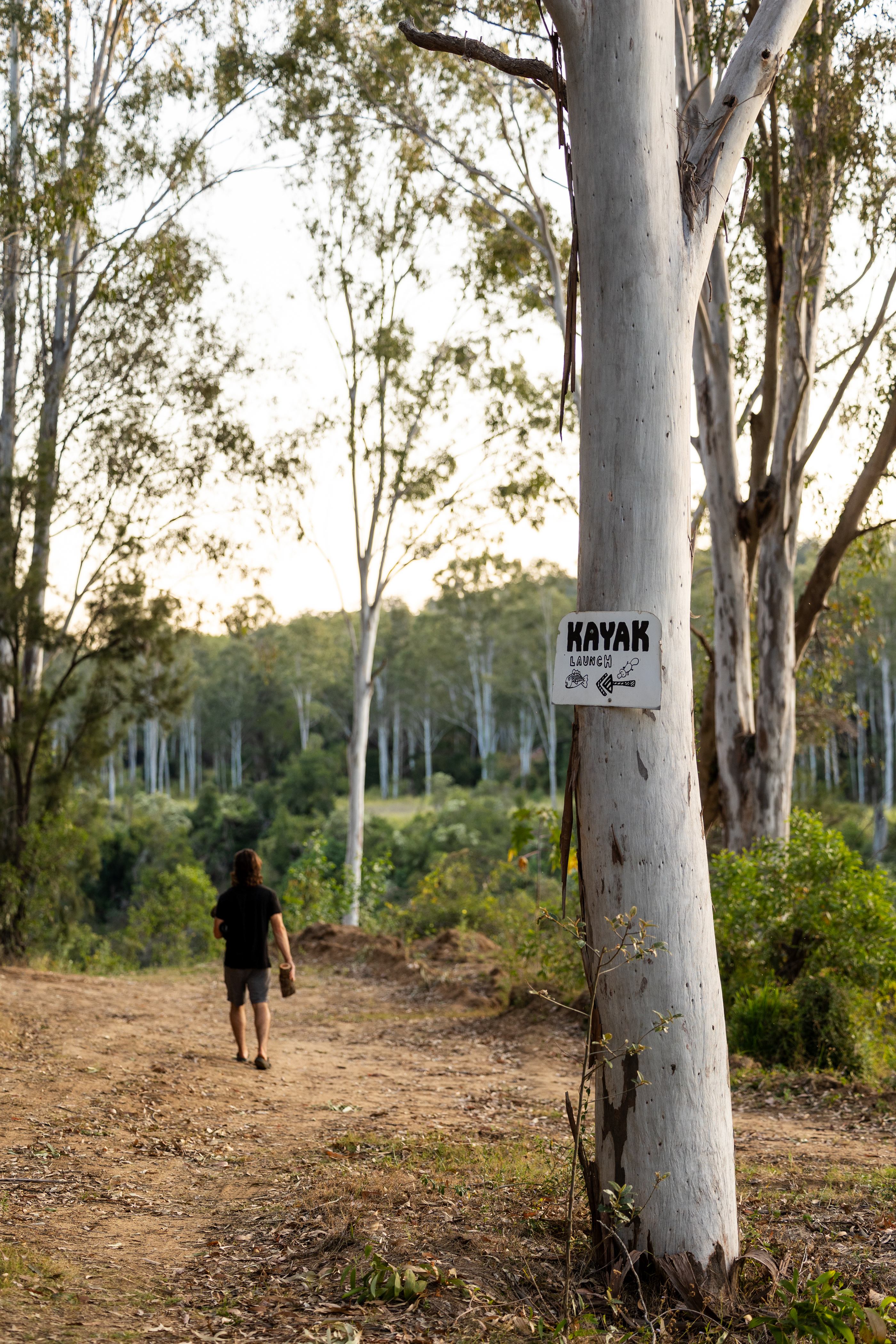 Plenty of free firewood