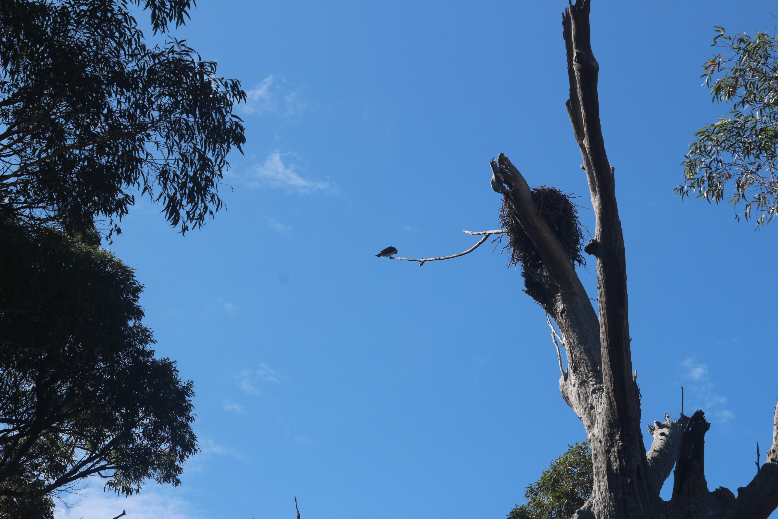 Solitary Islands Farm