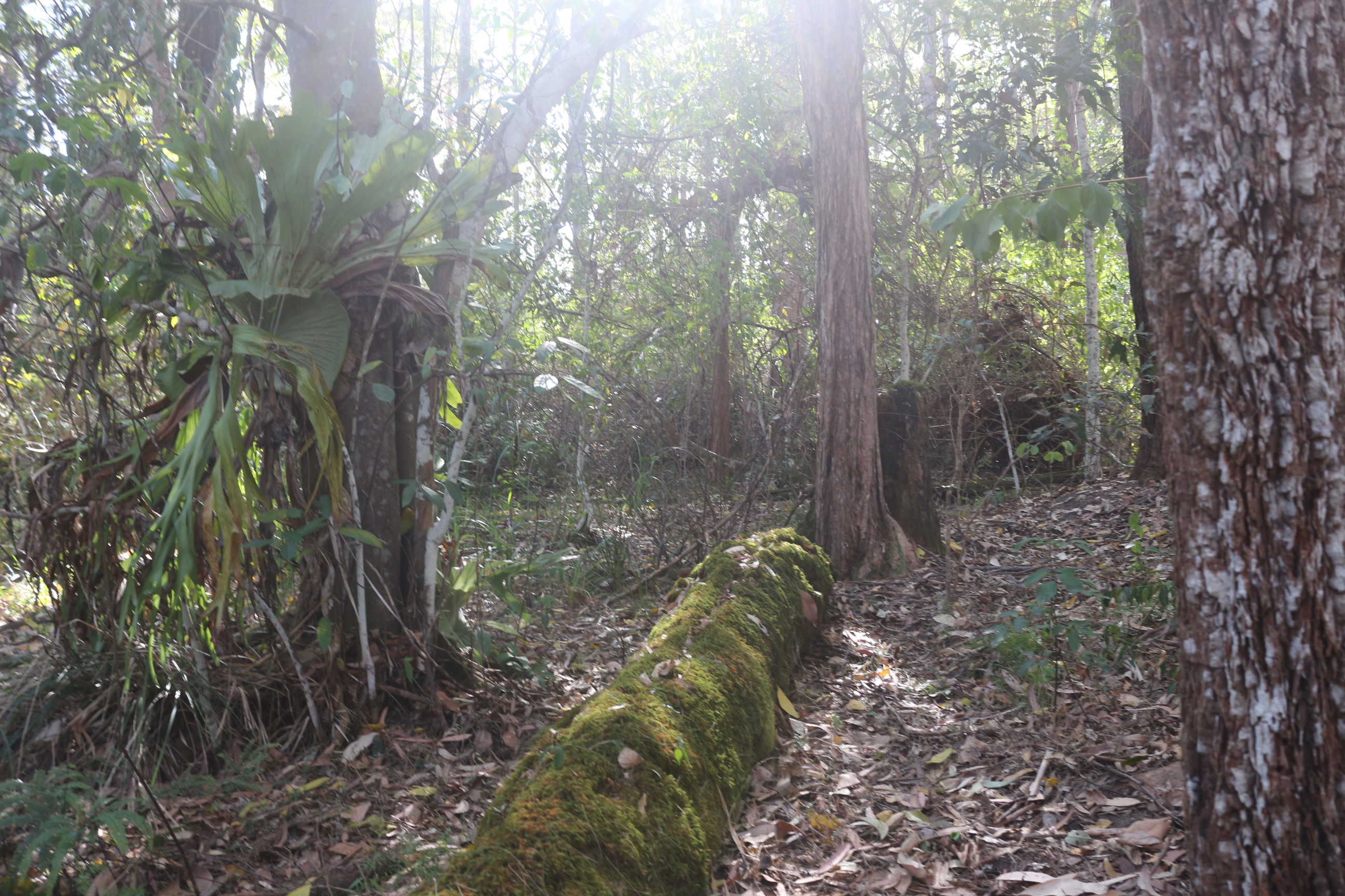 Solitary Islands Farm