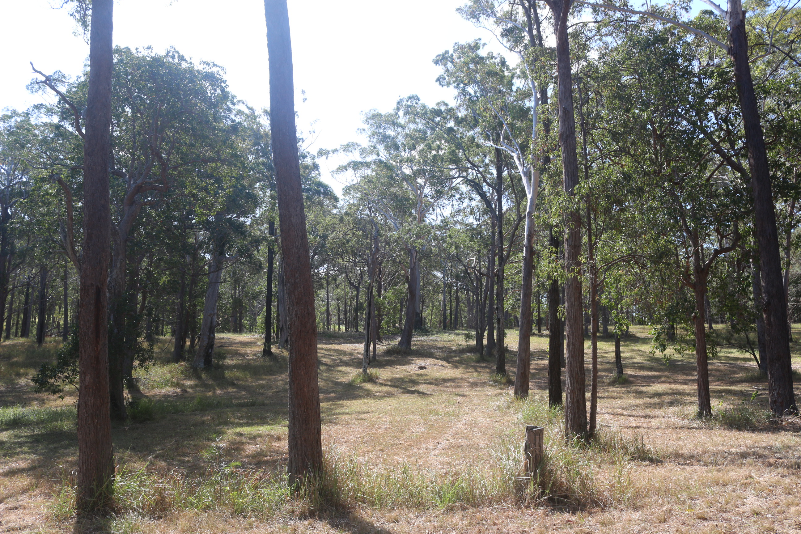 Solitary Islands Farm