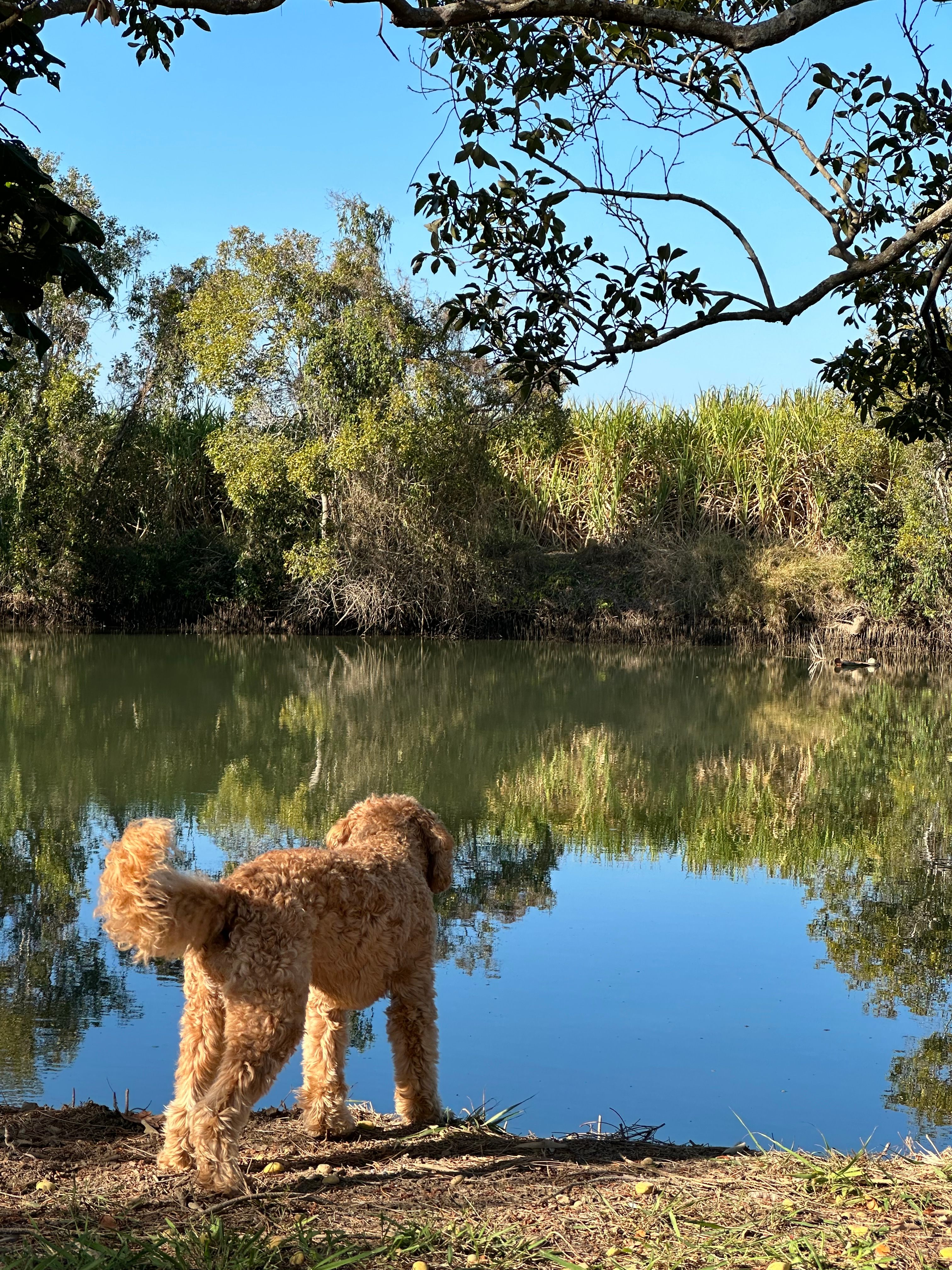 On The Channel- Caravan only