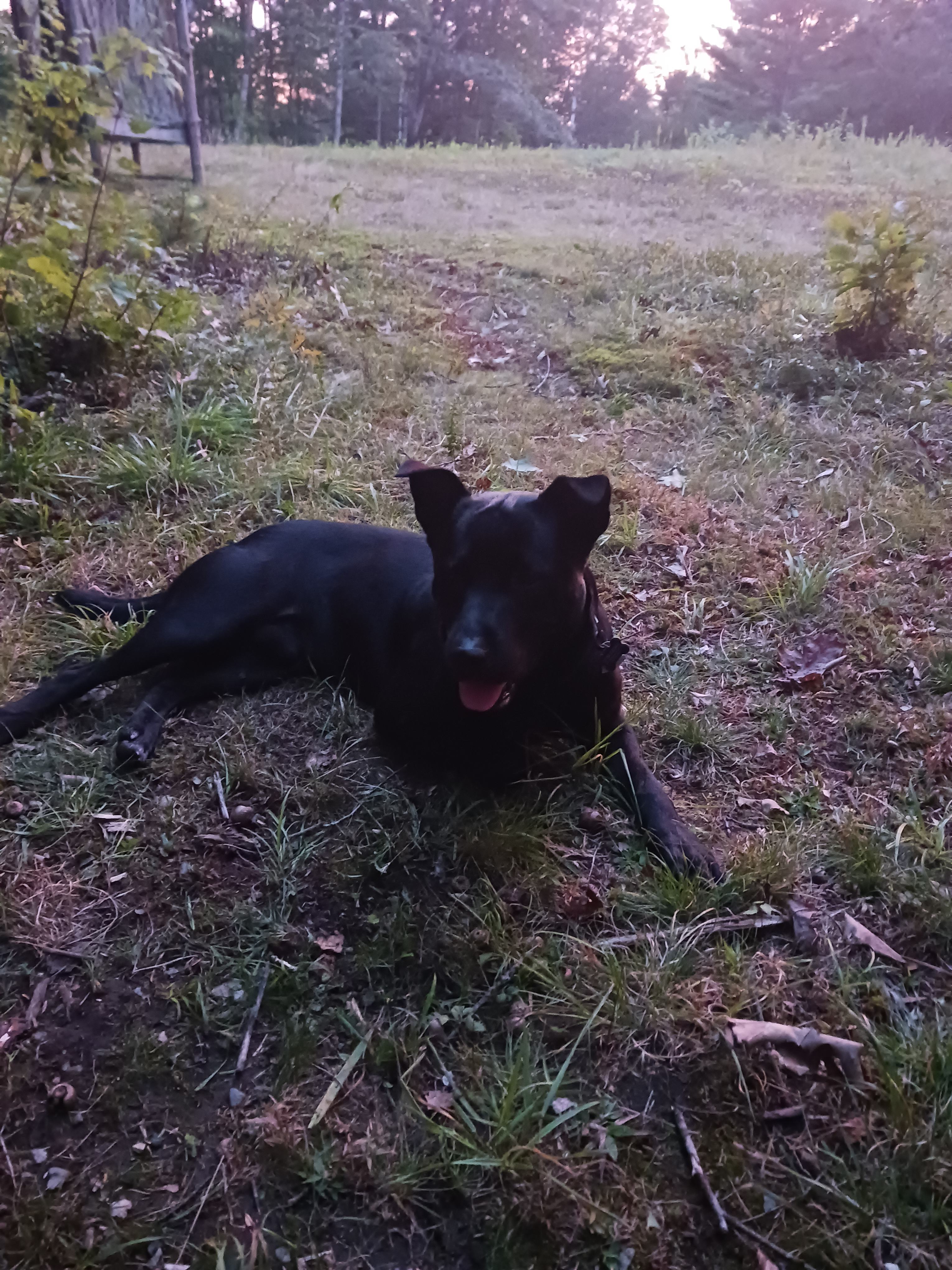 The cabin at White Duck Farm
