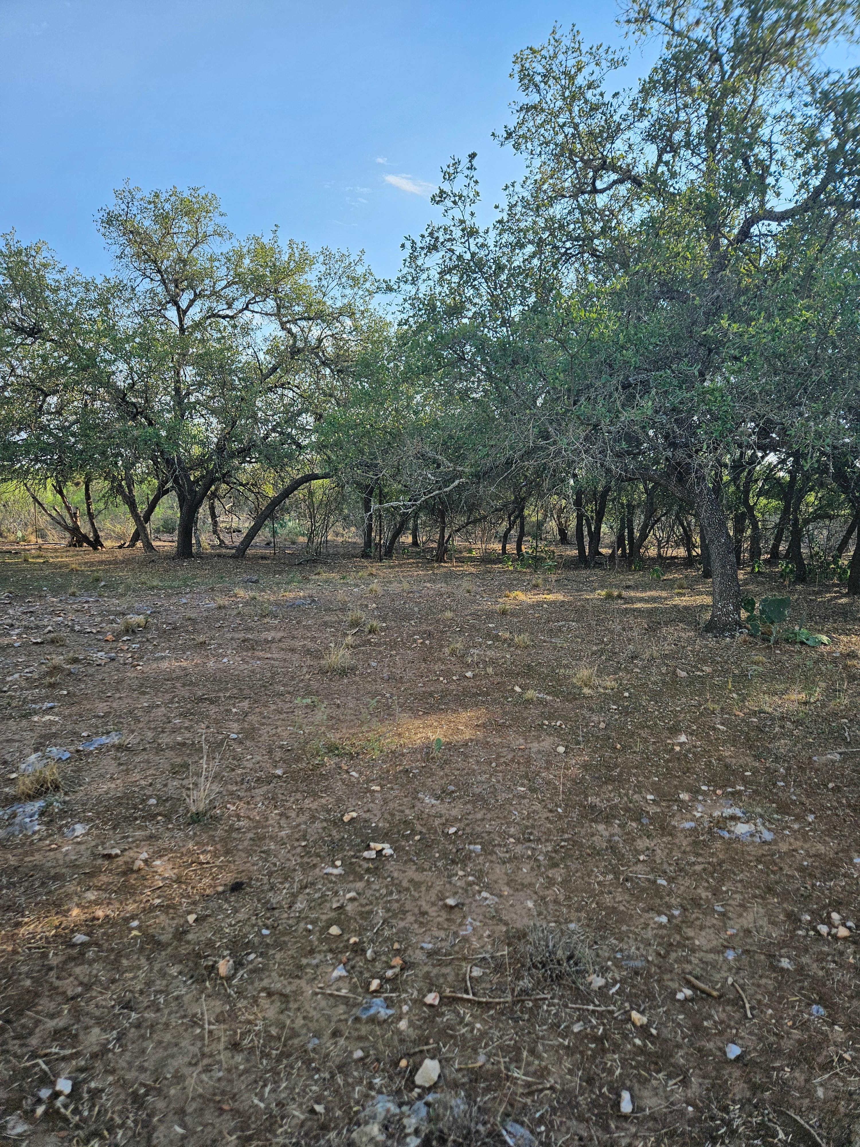 Twin Lions Farm