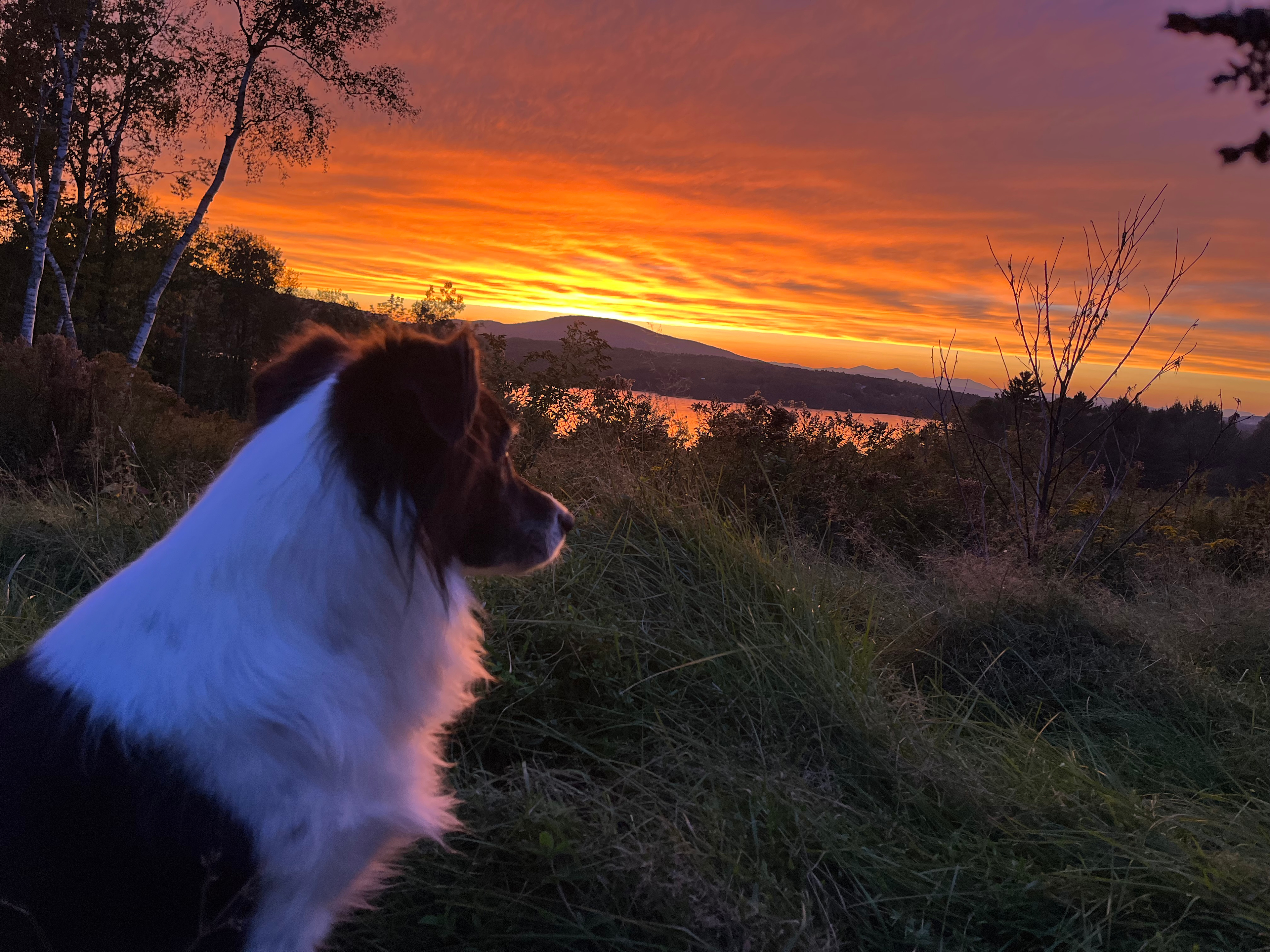 Willoughby Lake Grand View