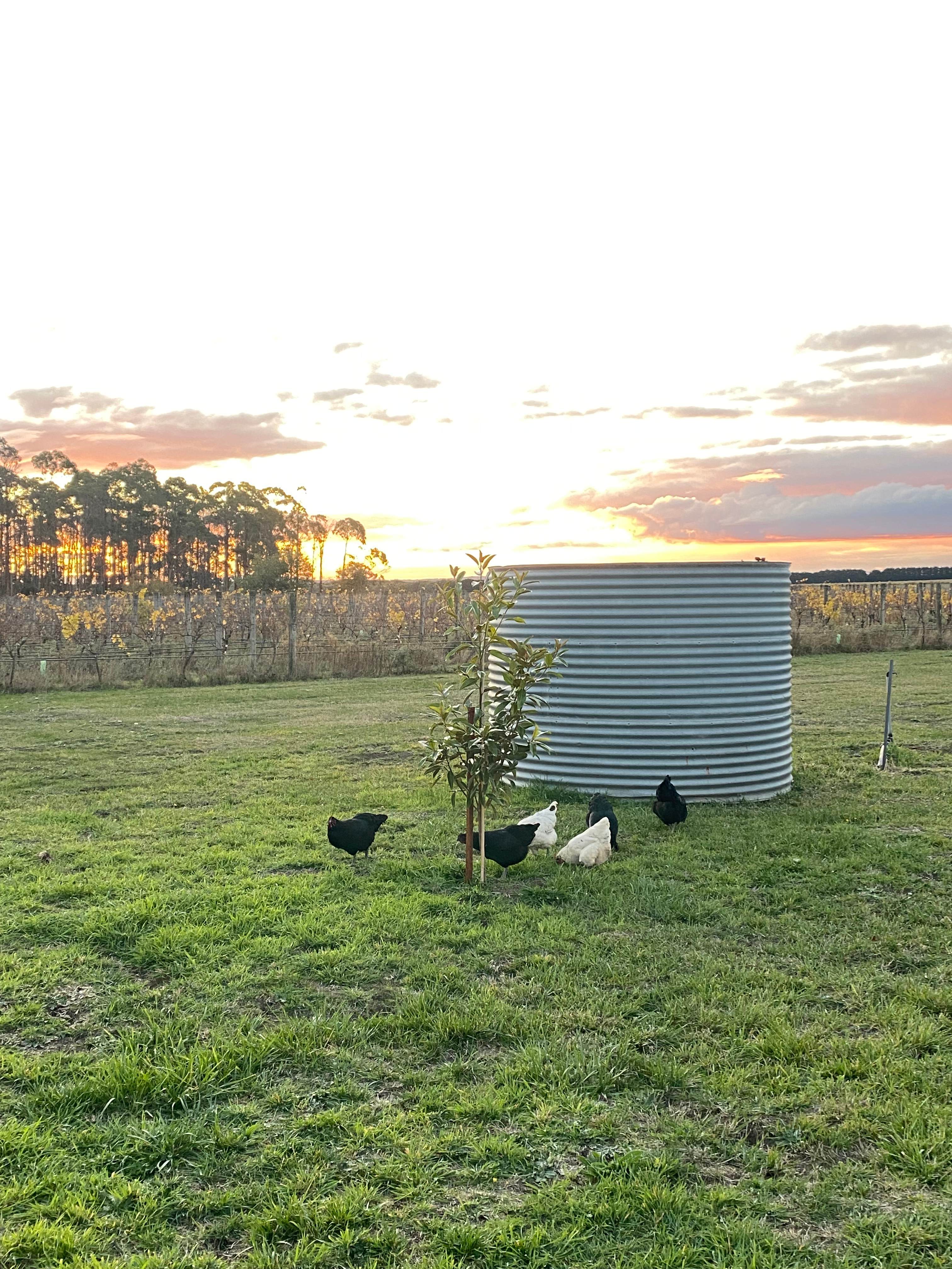 Alt Road Winery