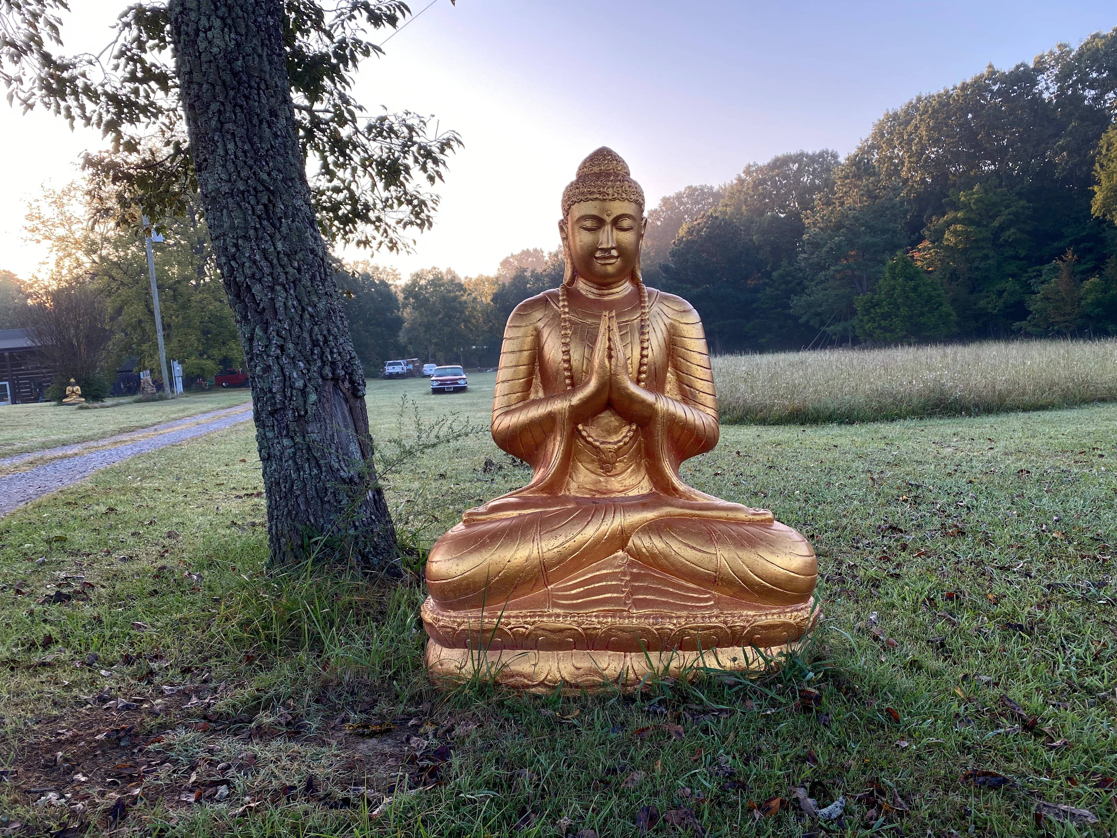 Beautiful Buddhist statuary throughout.