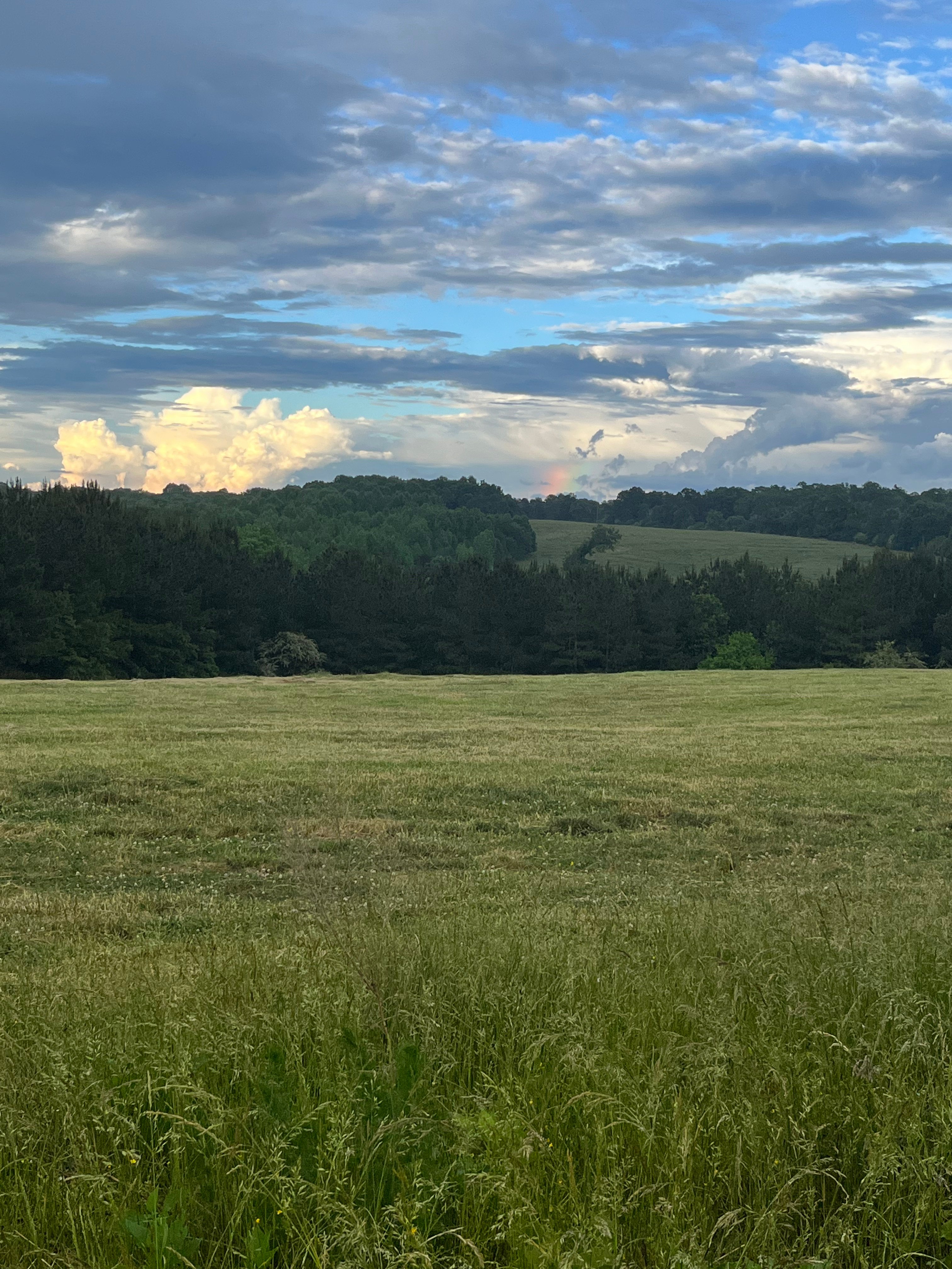 The Briar Patch Adventure Farm