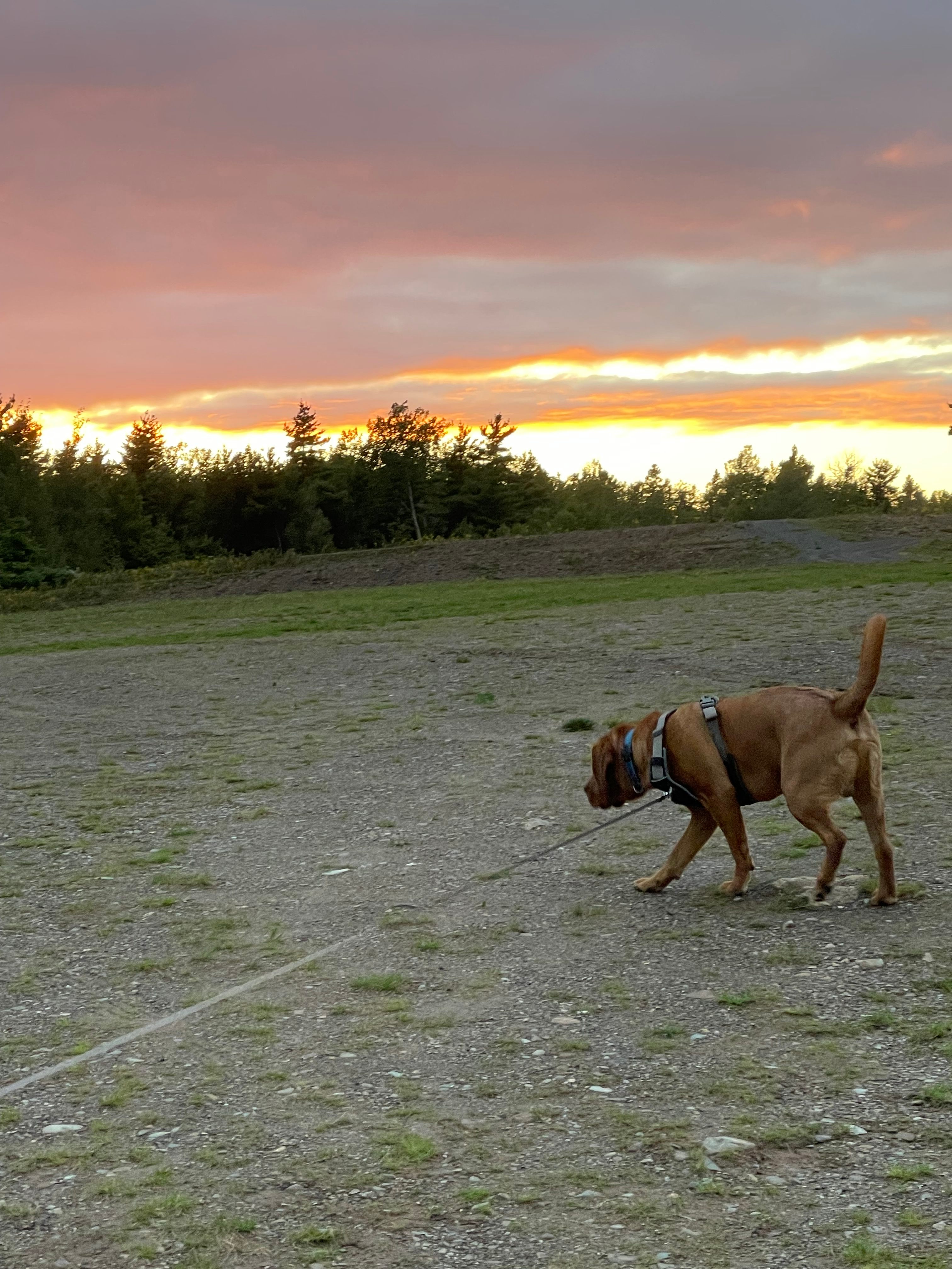 Camping at Music Mountain