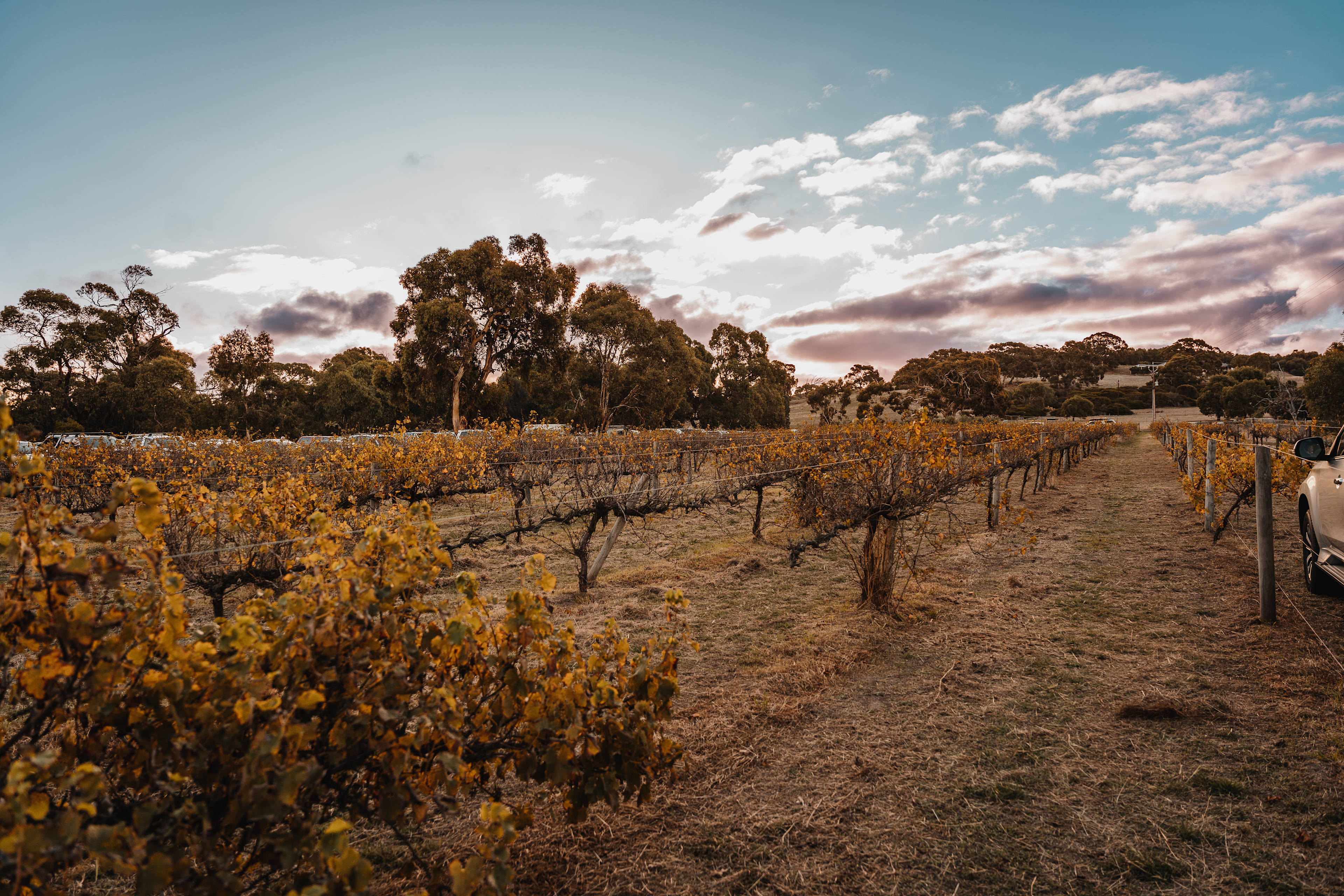 The Old Middleton Winery