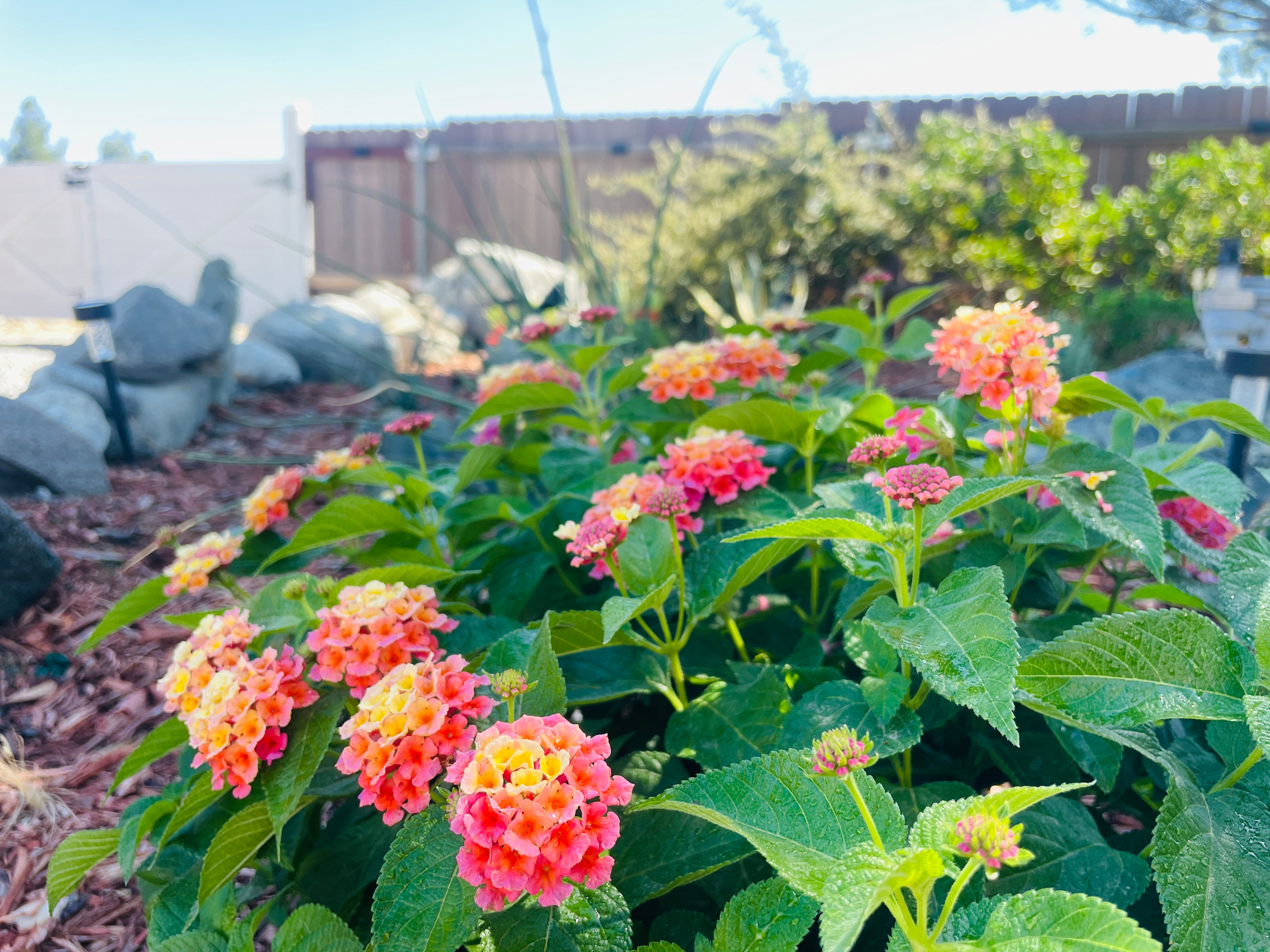 Fort Bailey Private Desert Estate