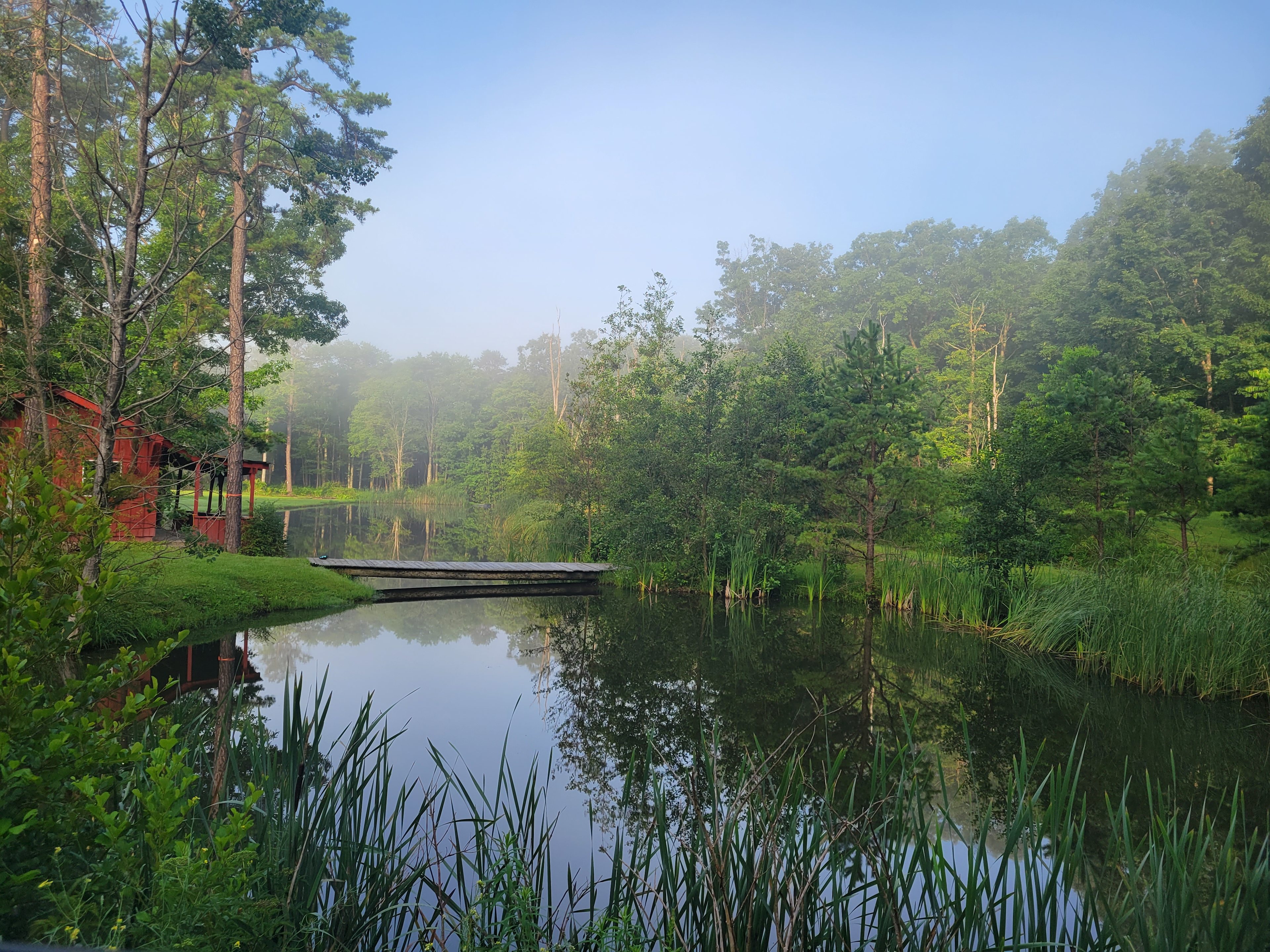 Mountain Springs Wellness