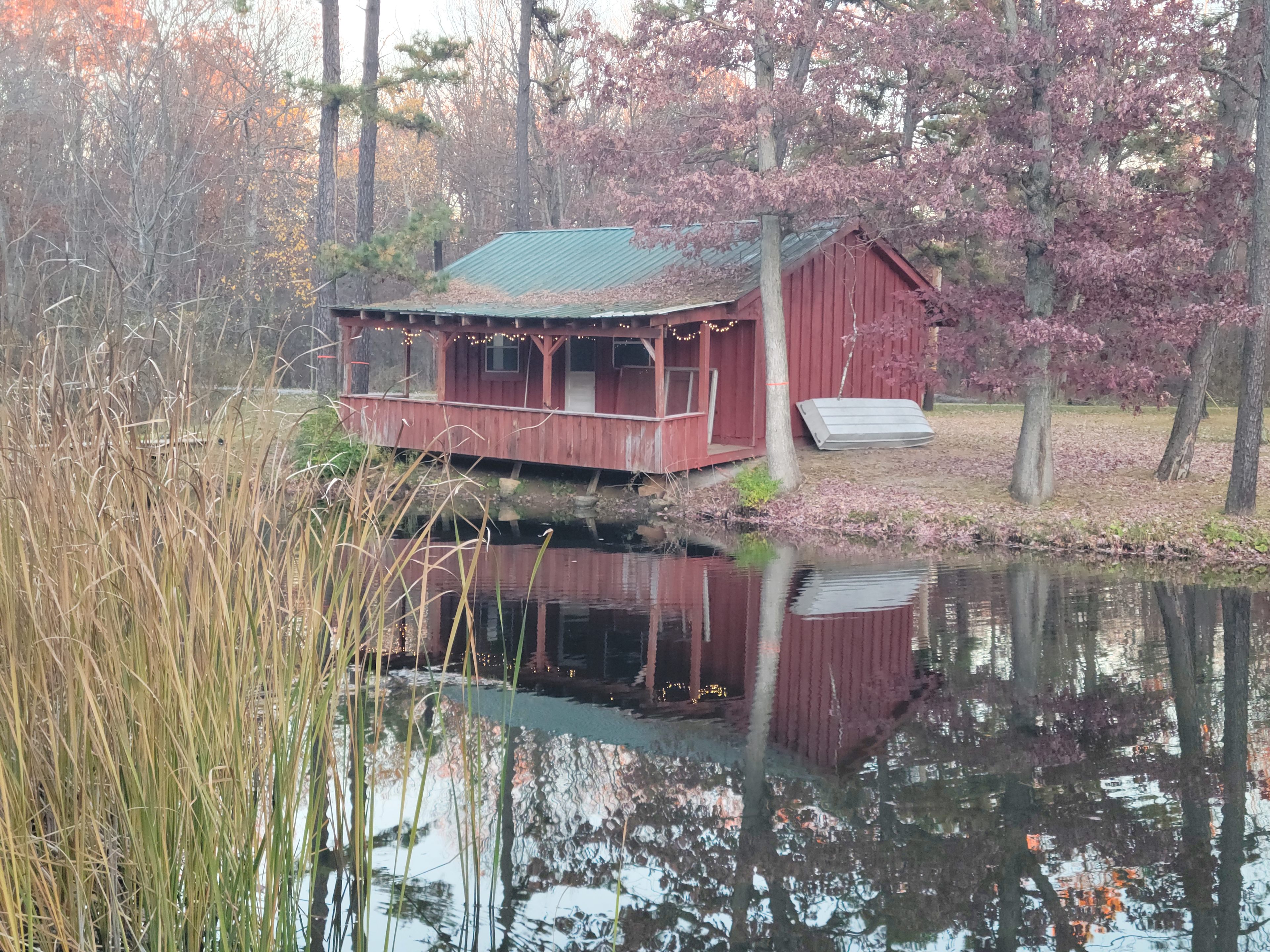 Mountain Springs Wellness