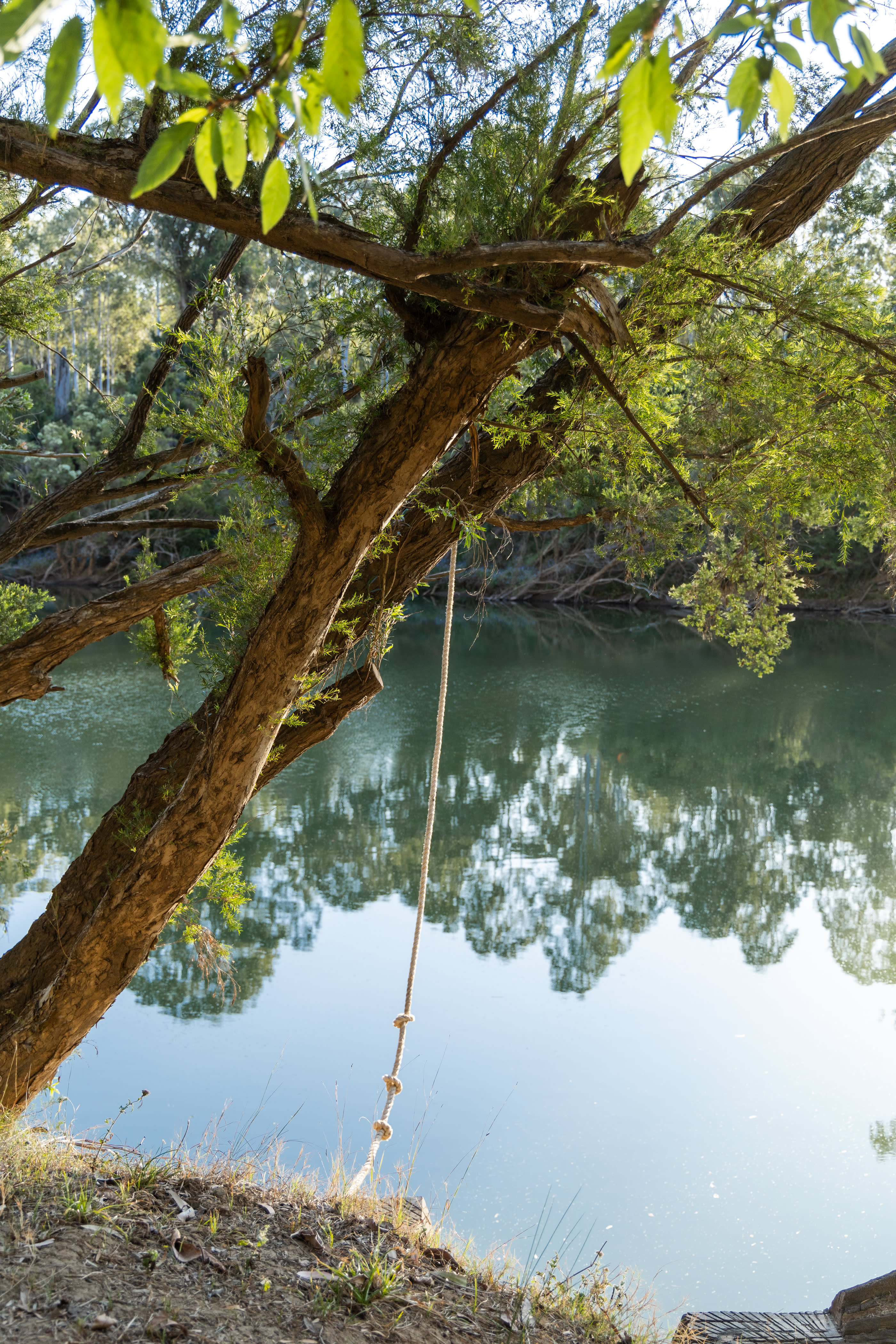 Rope swing into the river