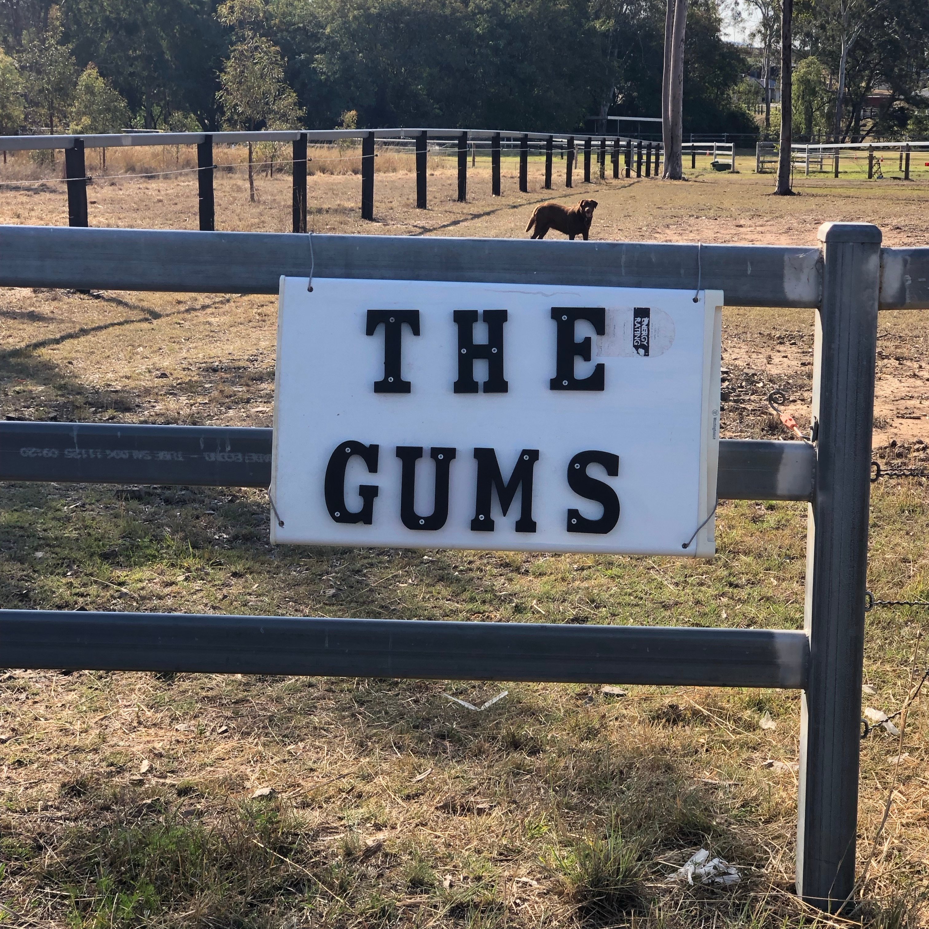 ENTRANCE to the camp sites from Cunningham highway gateway.