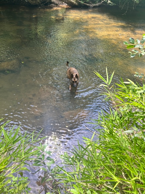 The River-Monthly and daily Sites