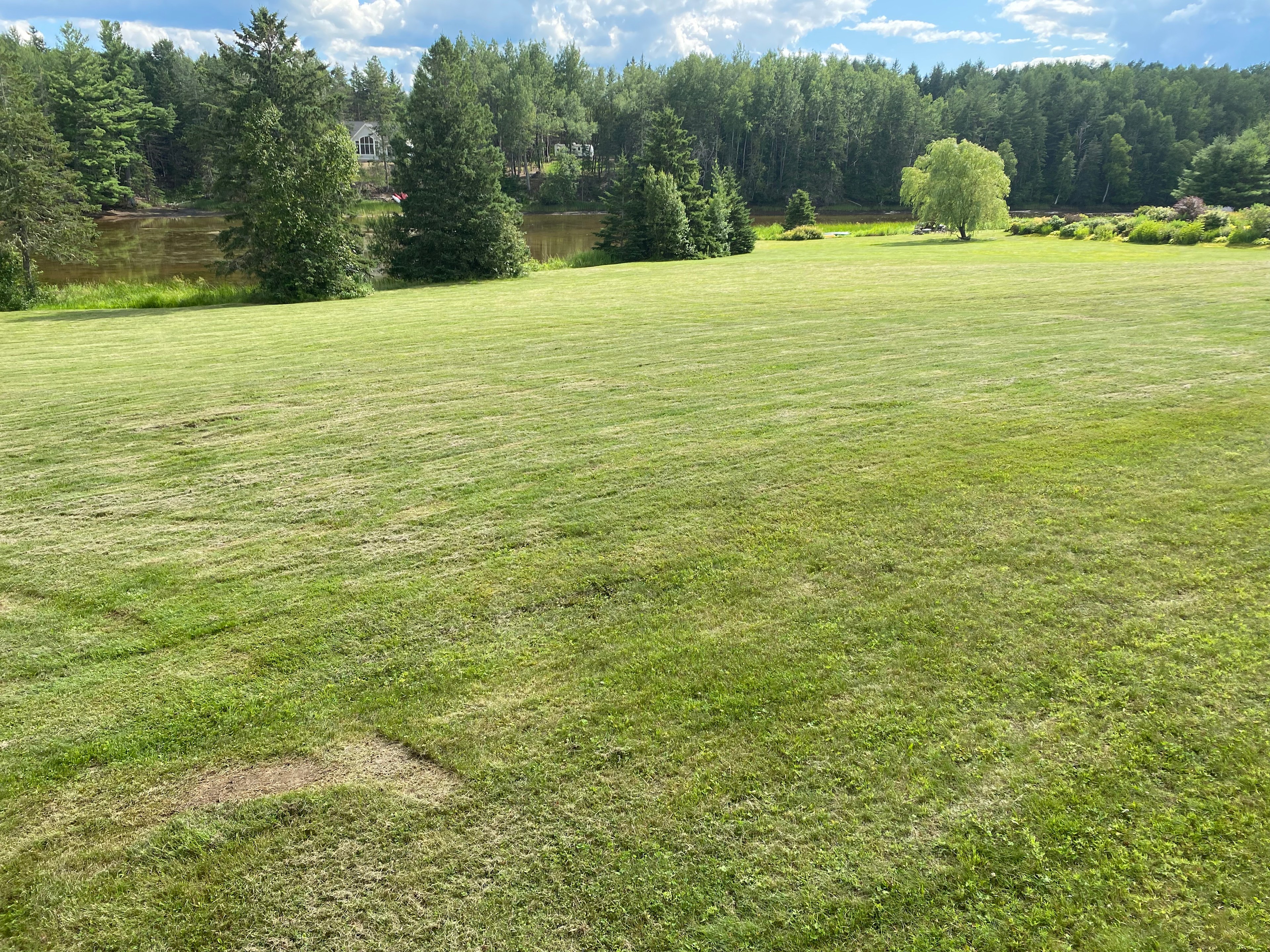 Waterfront Secluded Relaxing Field