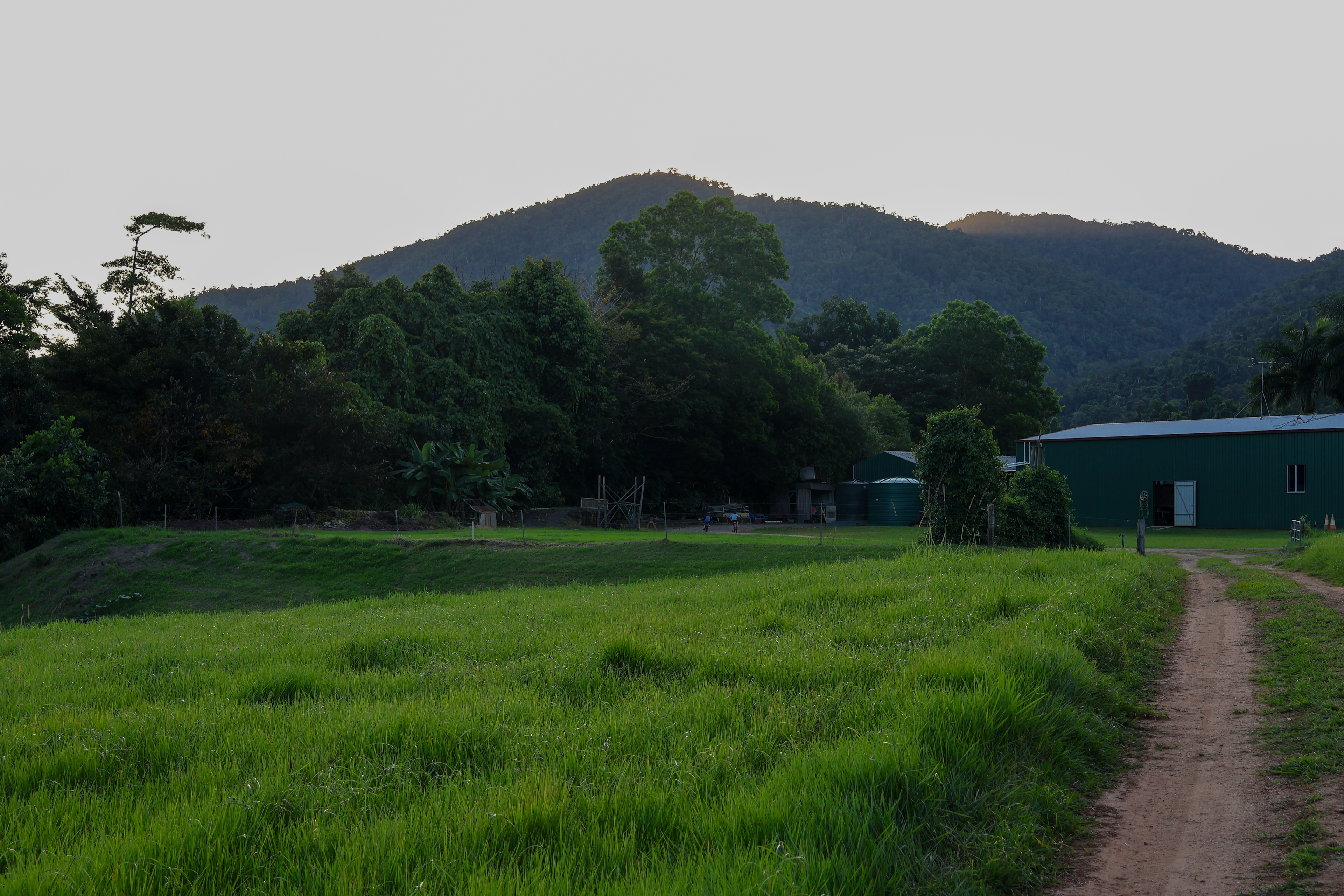 Toilet and shower inside the shed
📷 @the.galapagos.life
