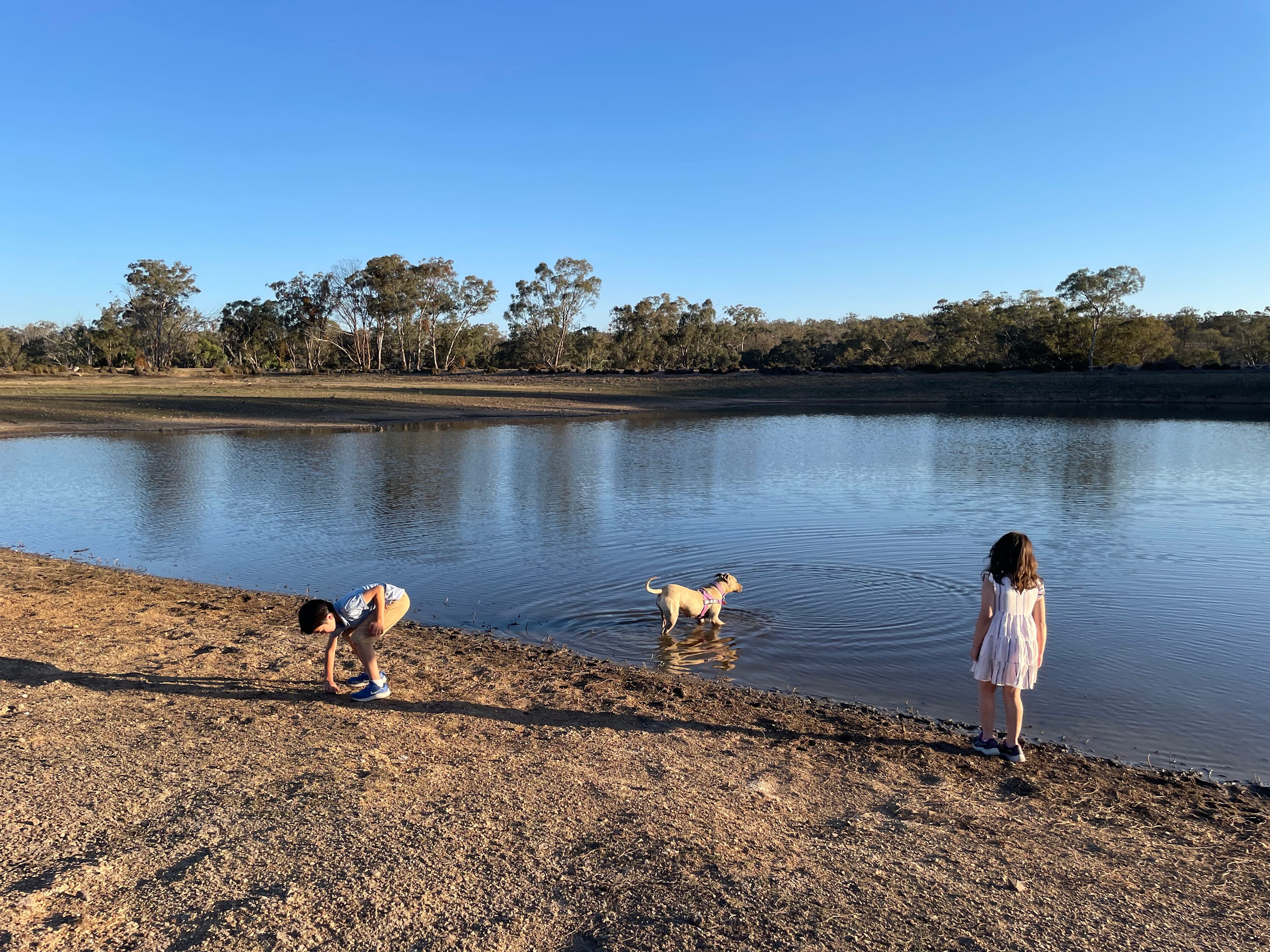 Carbean Camping & Farmstay