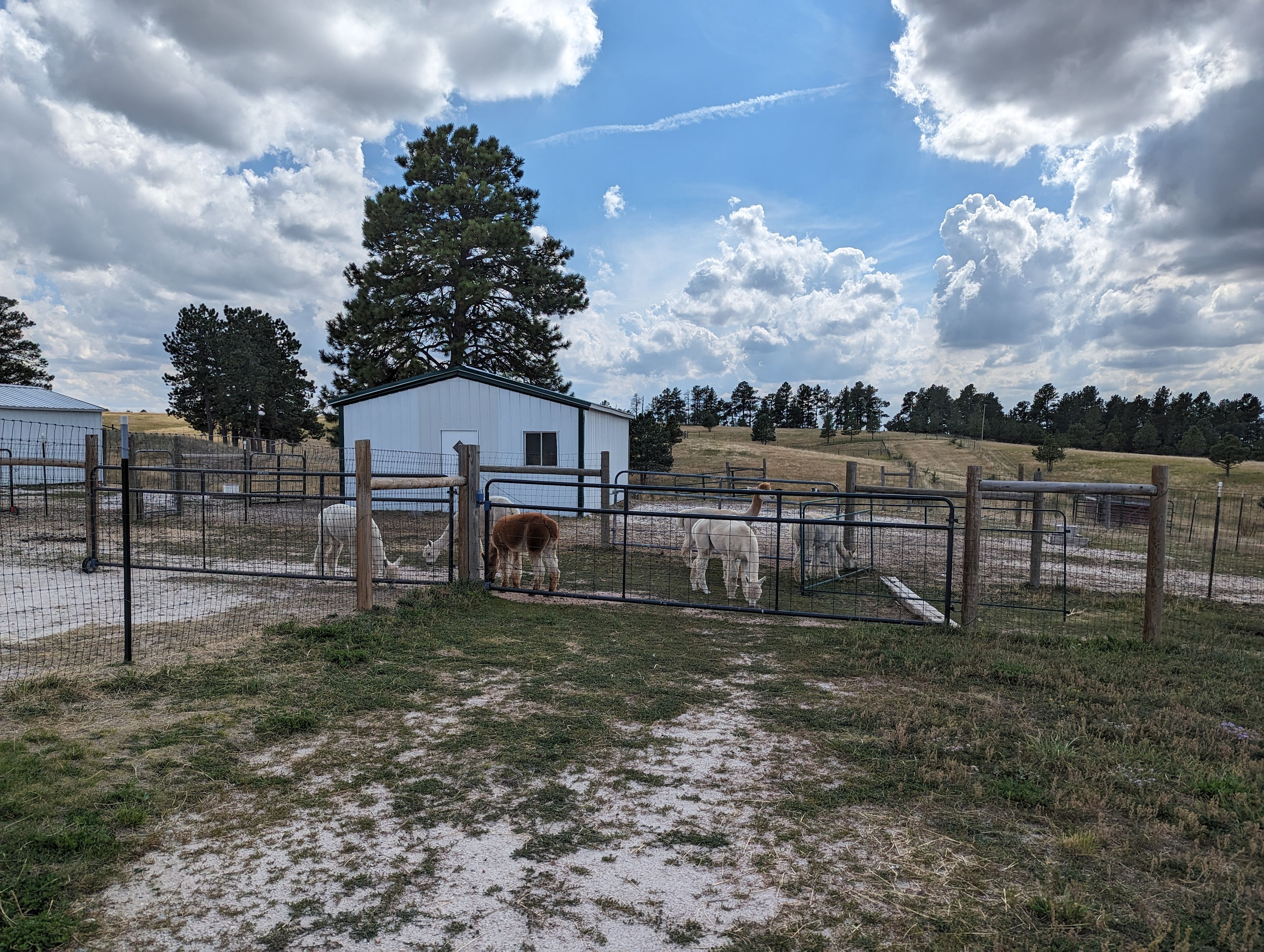 Falkor Ranch