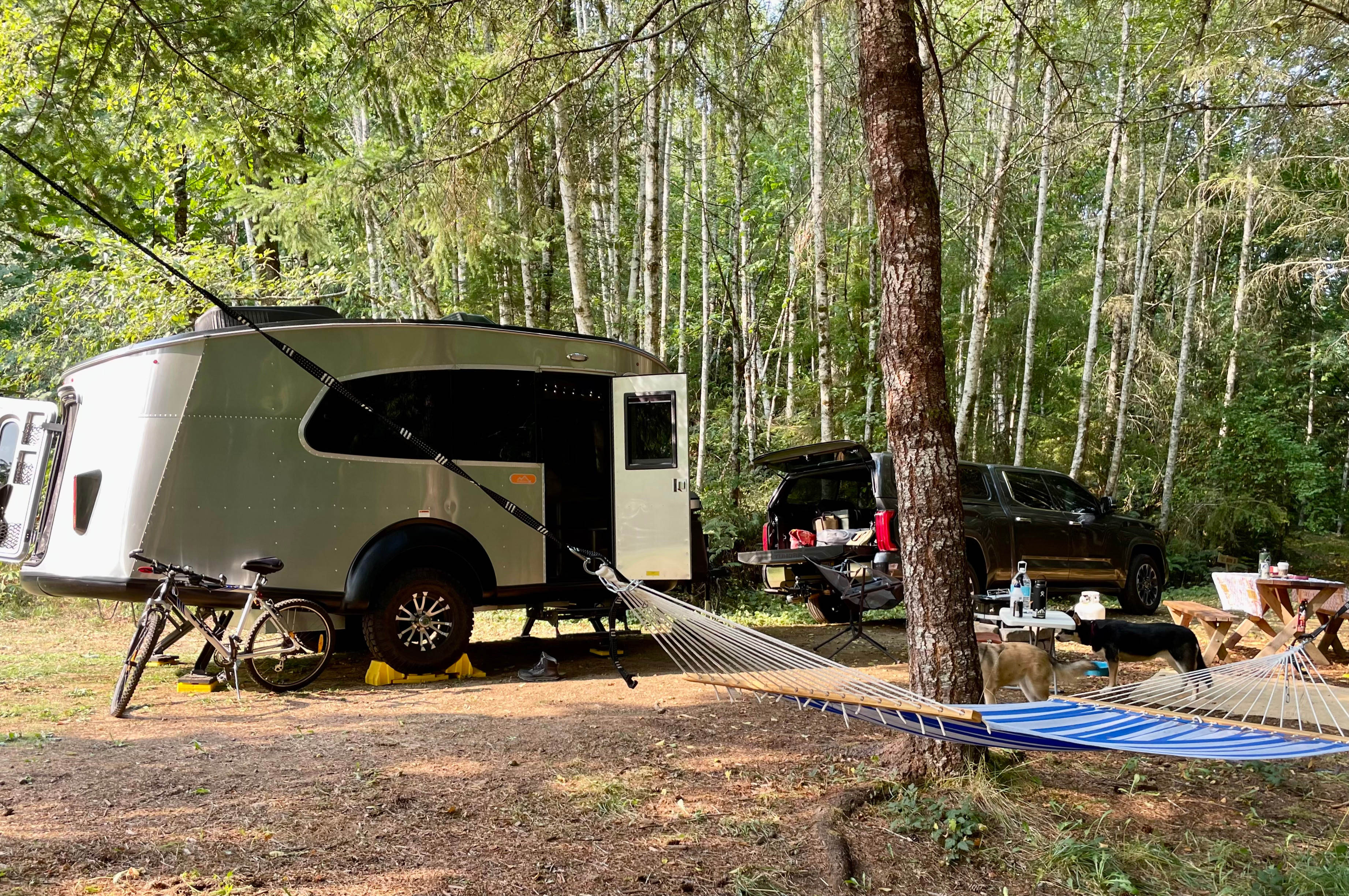 Site 3. Perfect fit!
