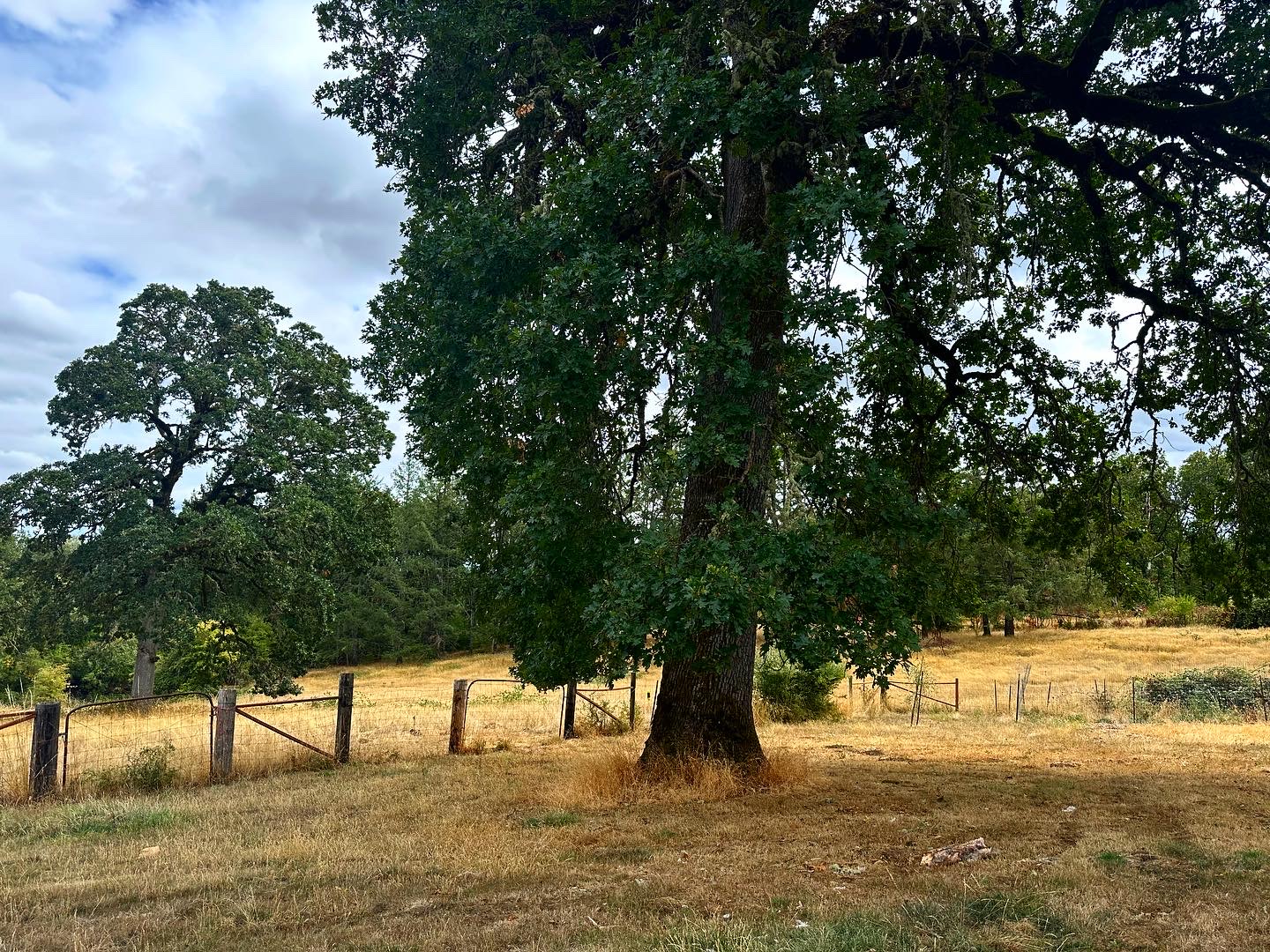 Ruby Rose Farms