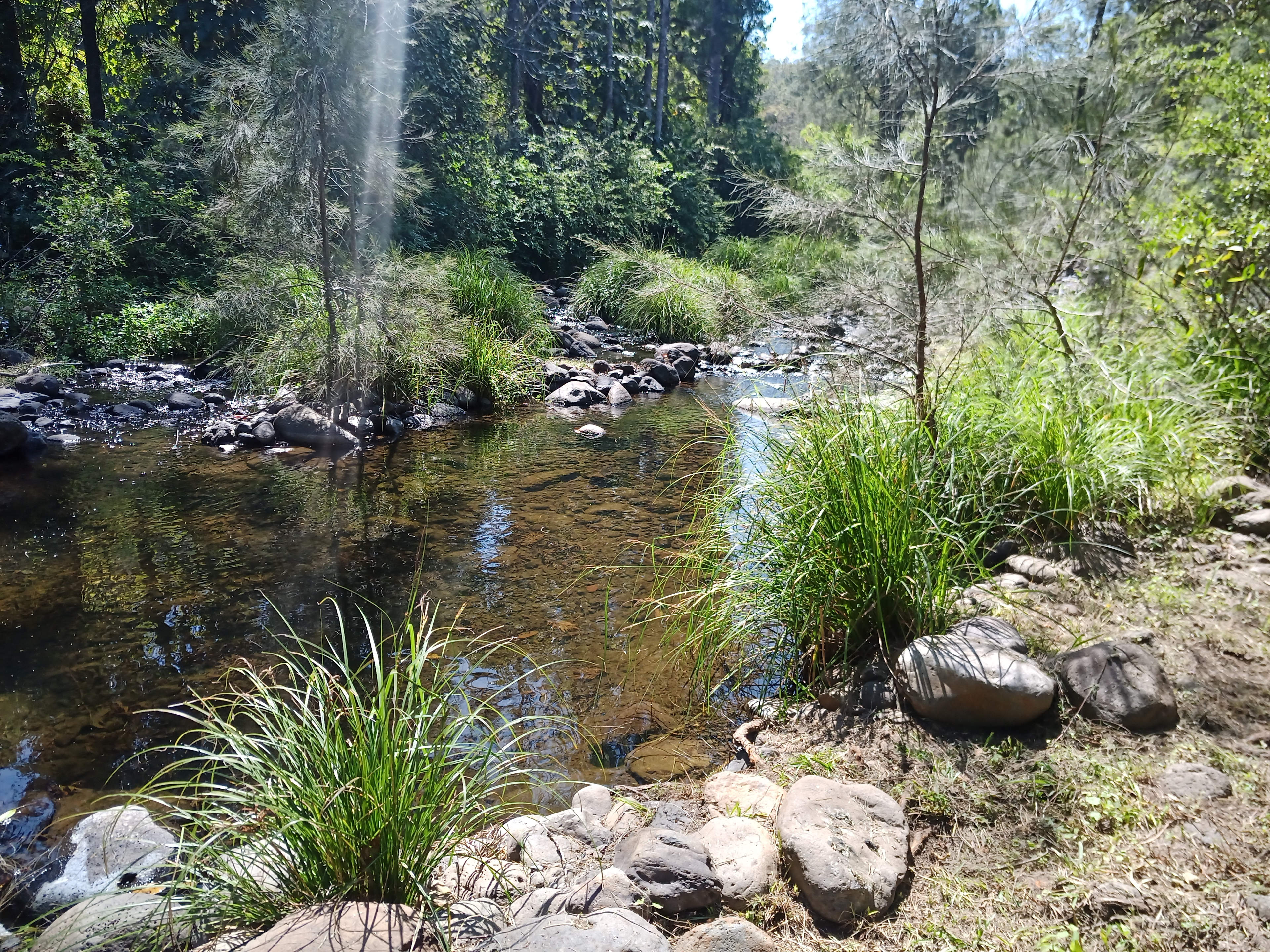 Warrazambil Creek Camp