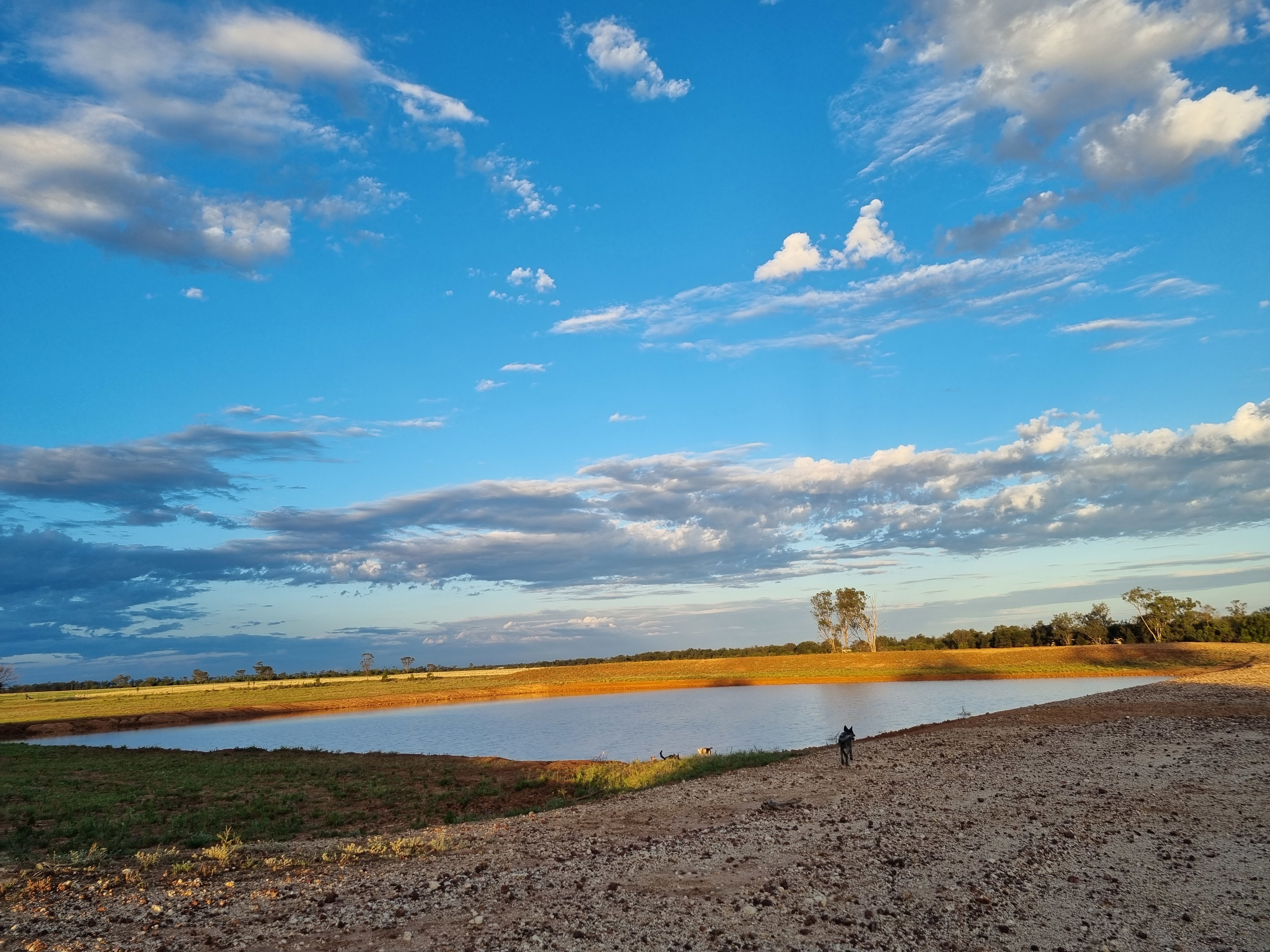 Big dam with plenty of camping spots 