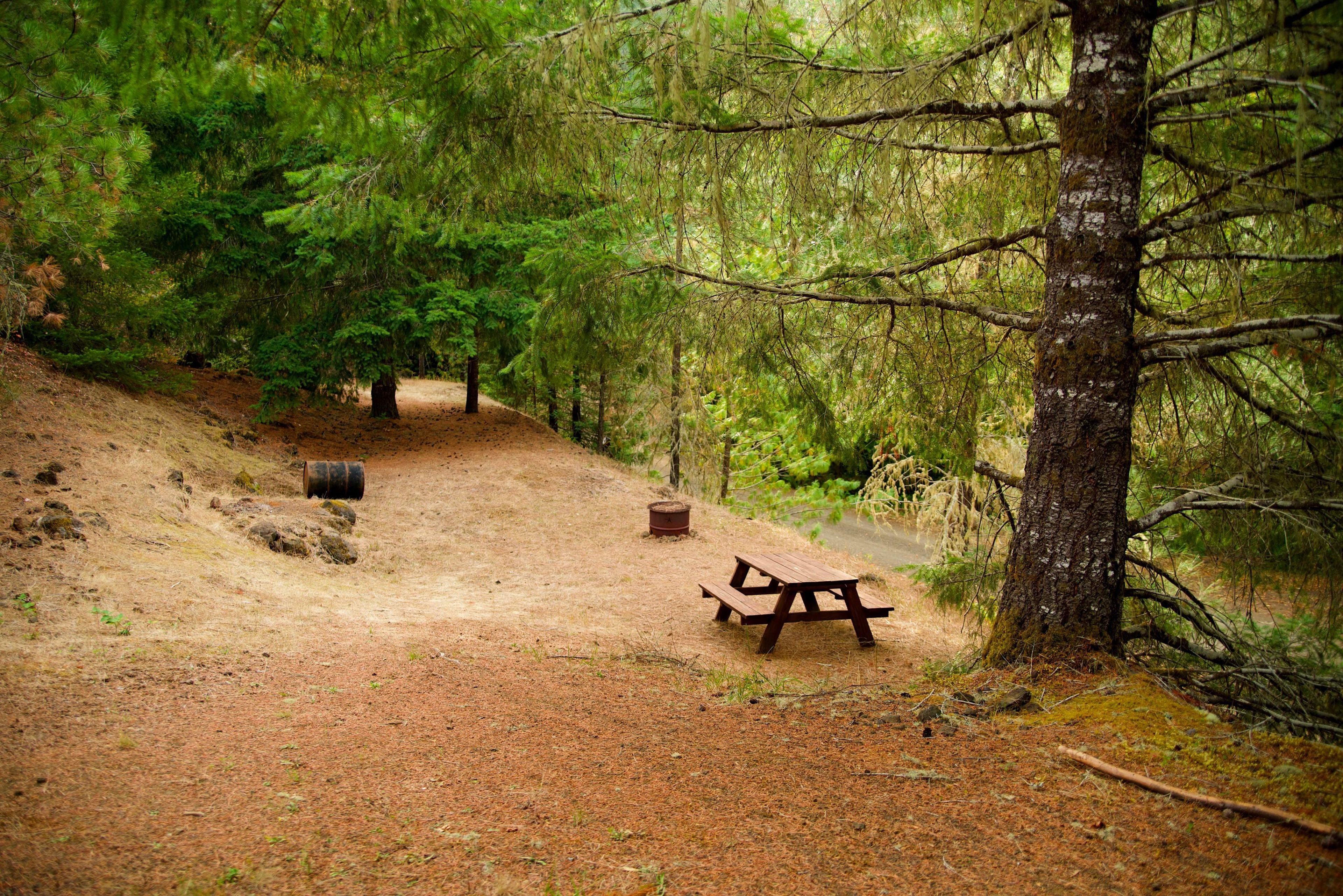 Campsite 1 nice and clean, up high with a view