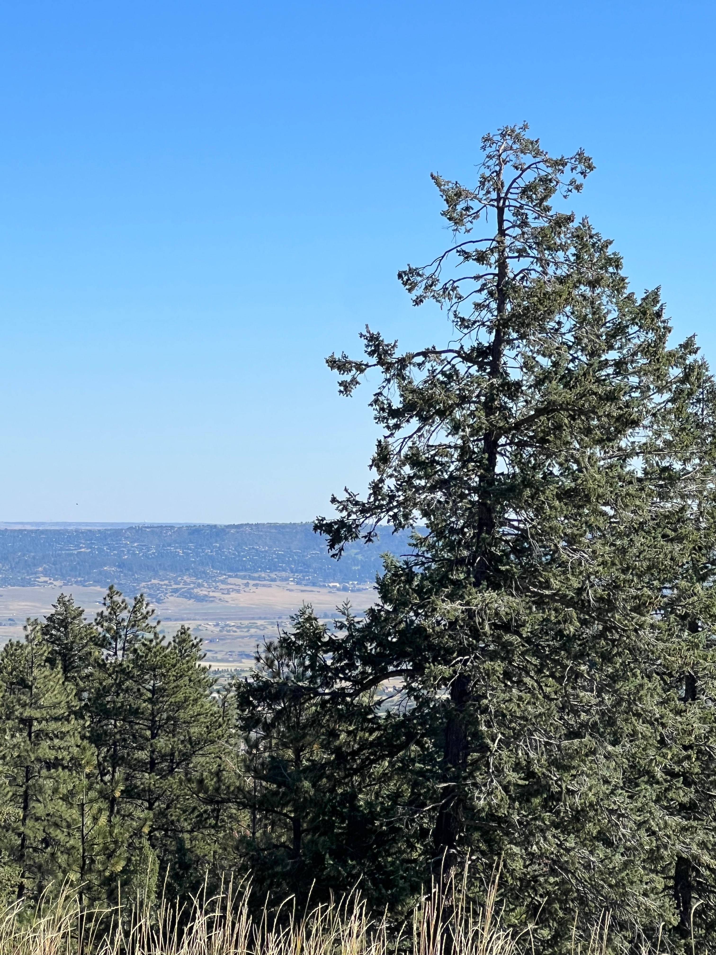 Sunrise Campsites