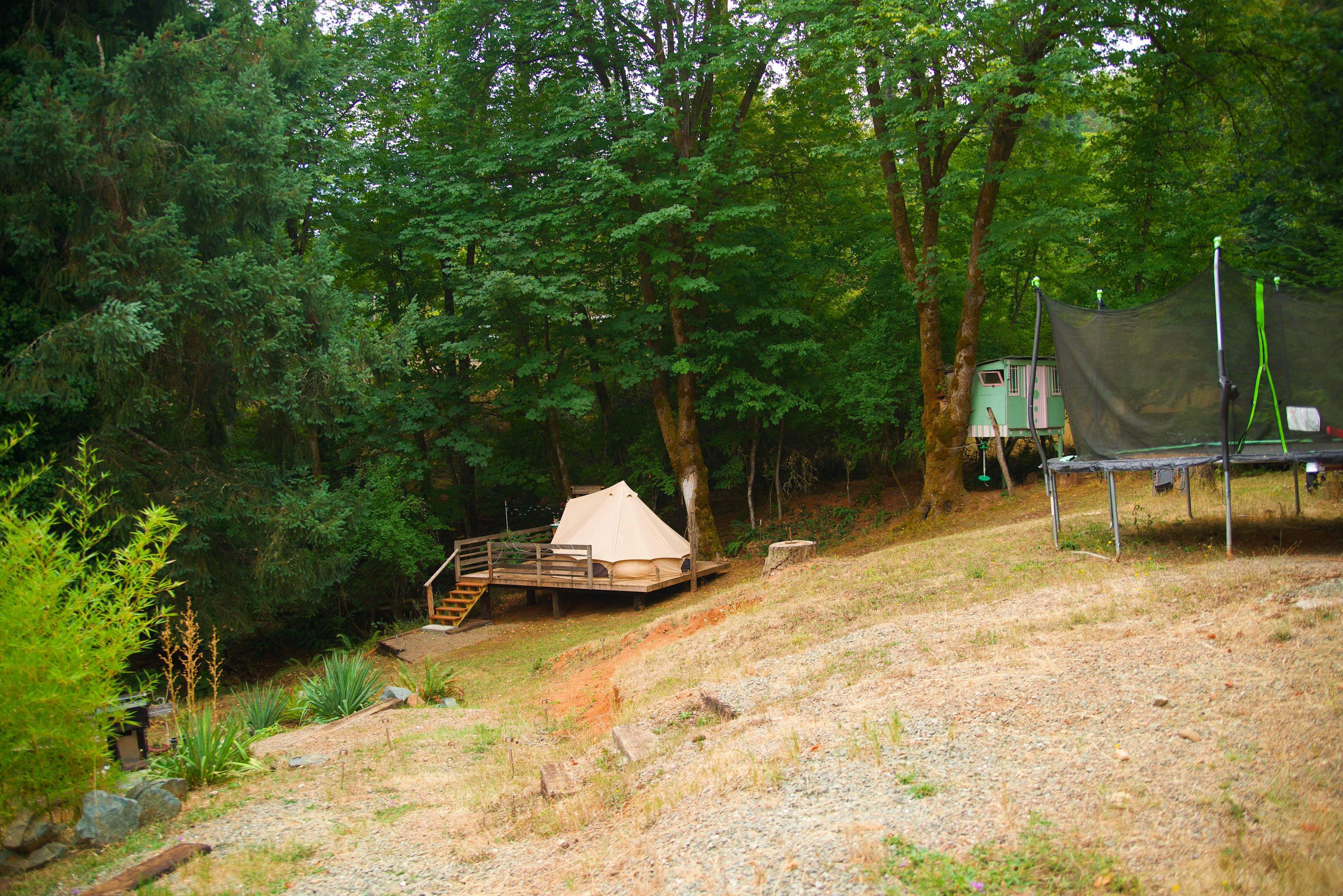 Tree fort and trampoline for kiddos