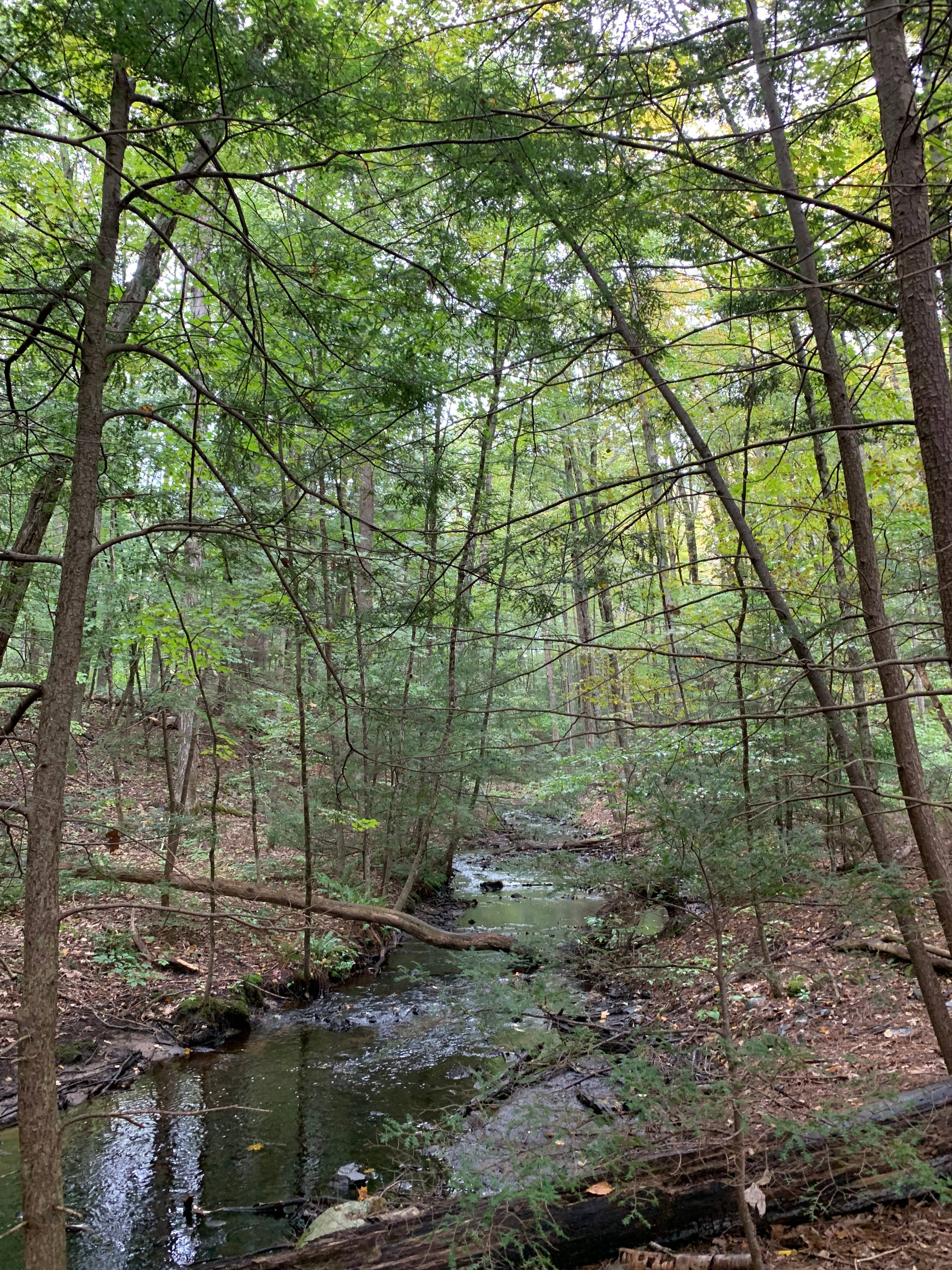 Streamside Camping in Leverett!
