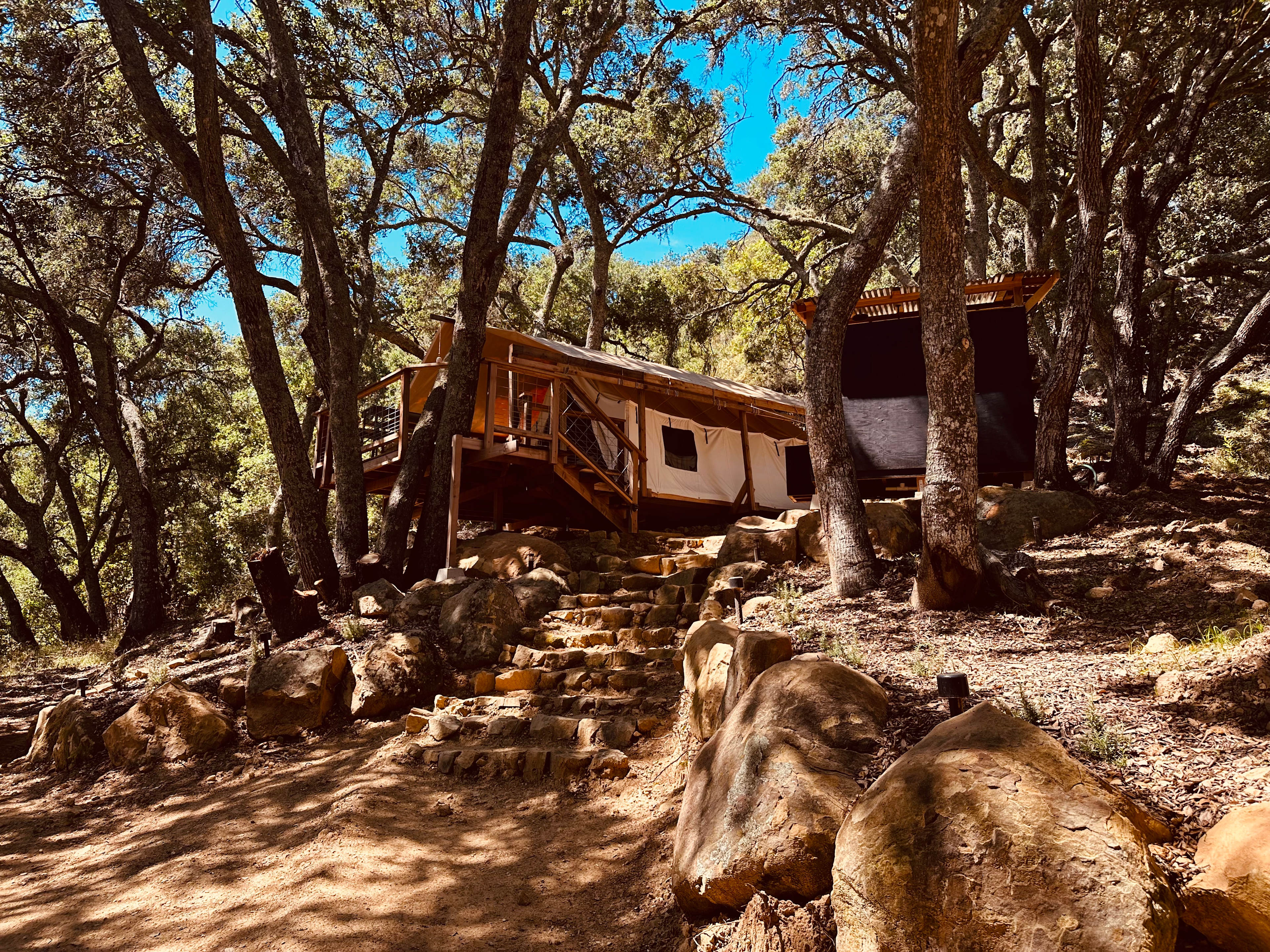 Canvas Under the Oaks