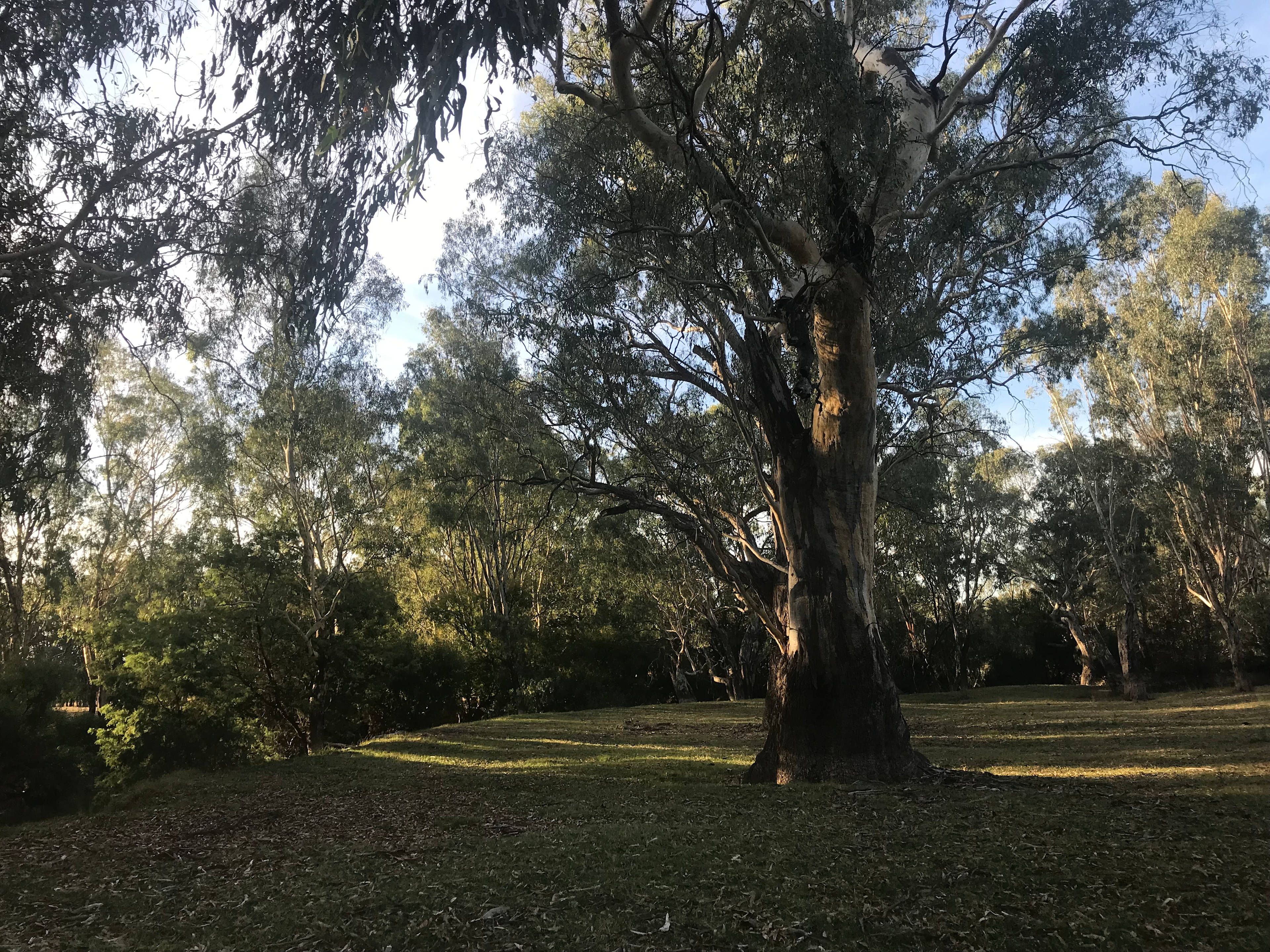 Billabong Flats Farm