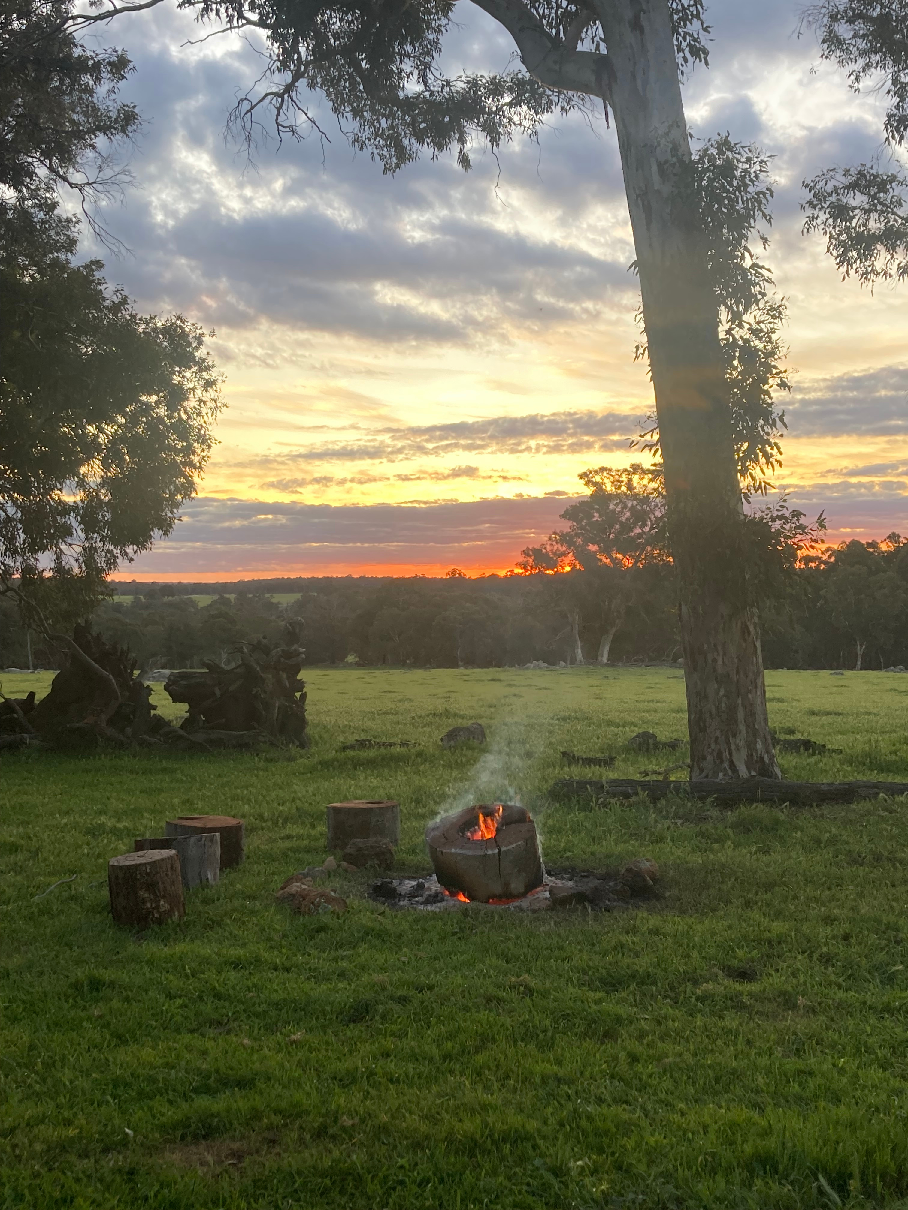 Haddlestone Farm