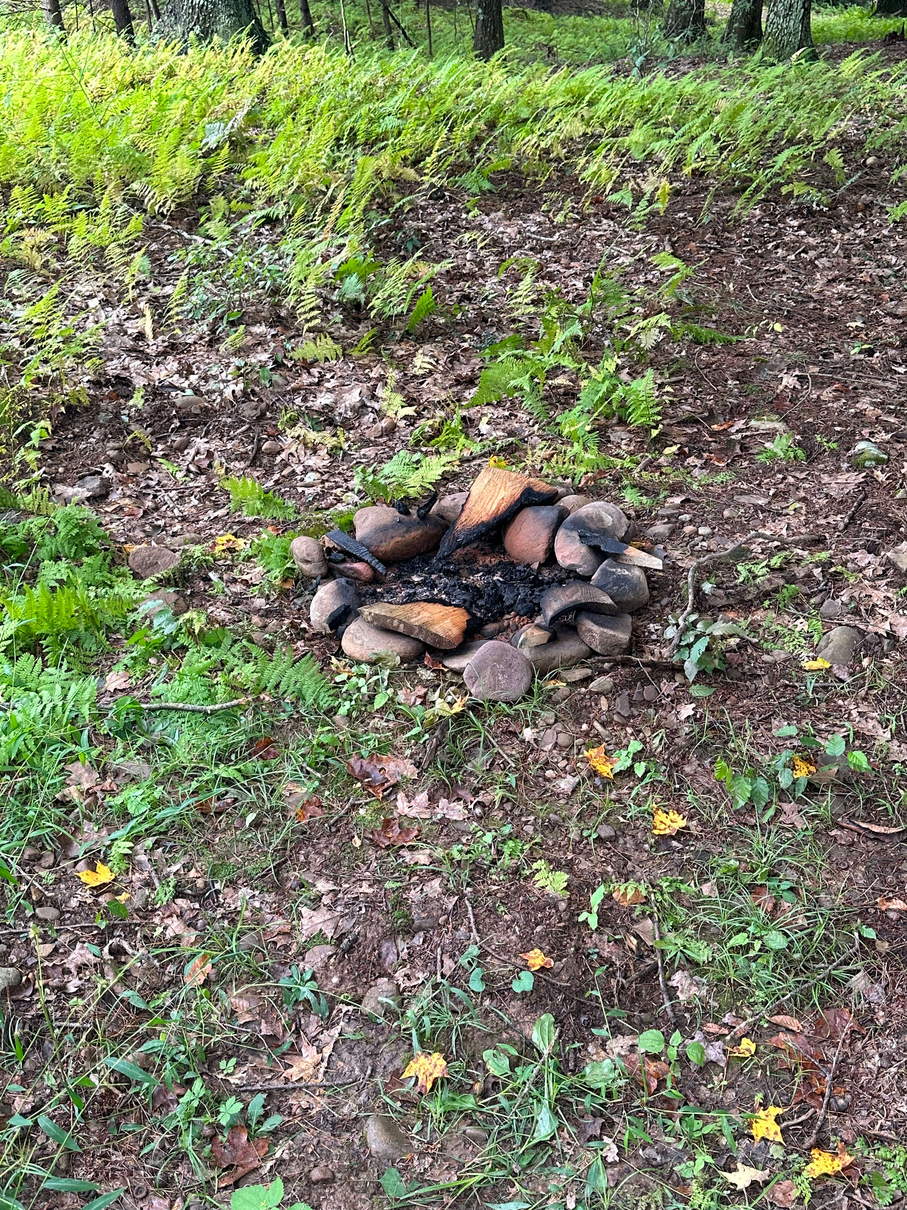 Elk Creek Escape/Sawmill Woodzie