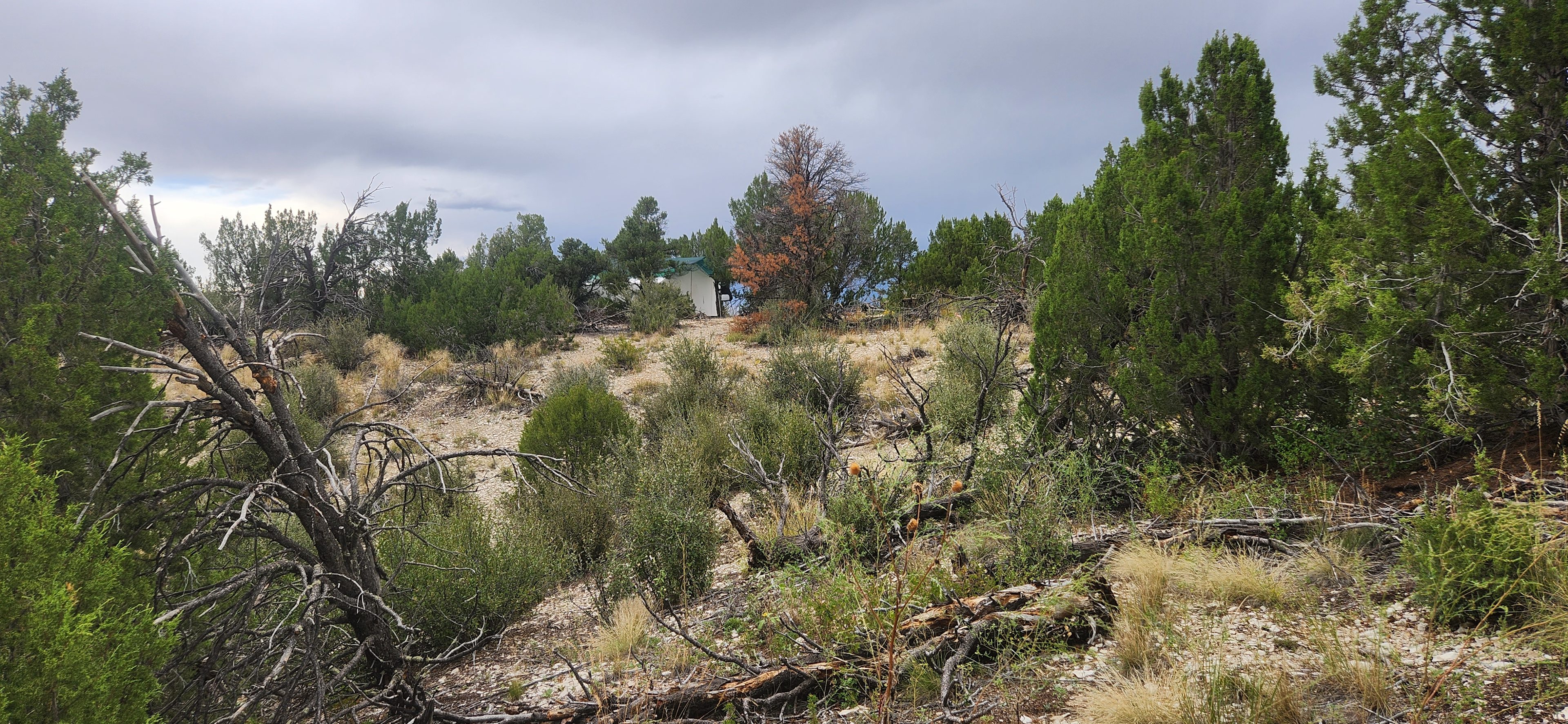 This hillside right near your tent is packed with crystals!