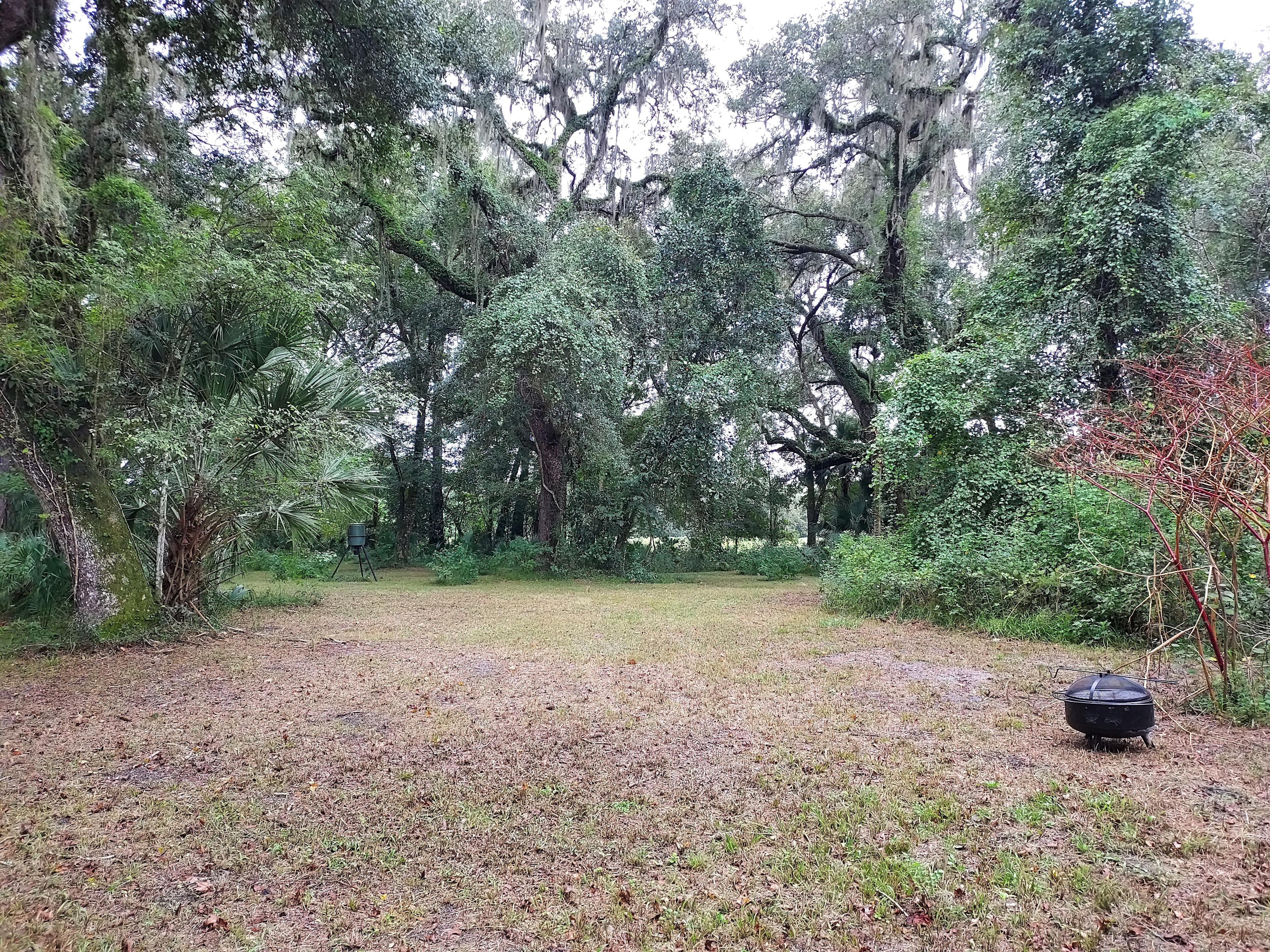Sumac Habitat Bushnell, FL