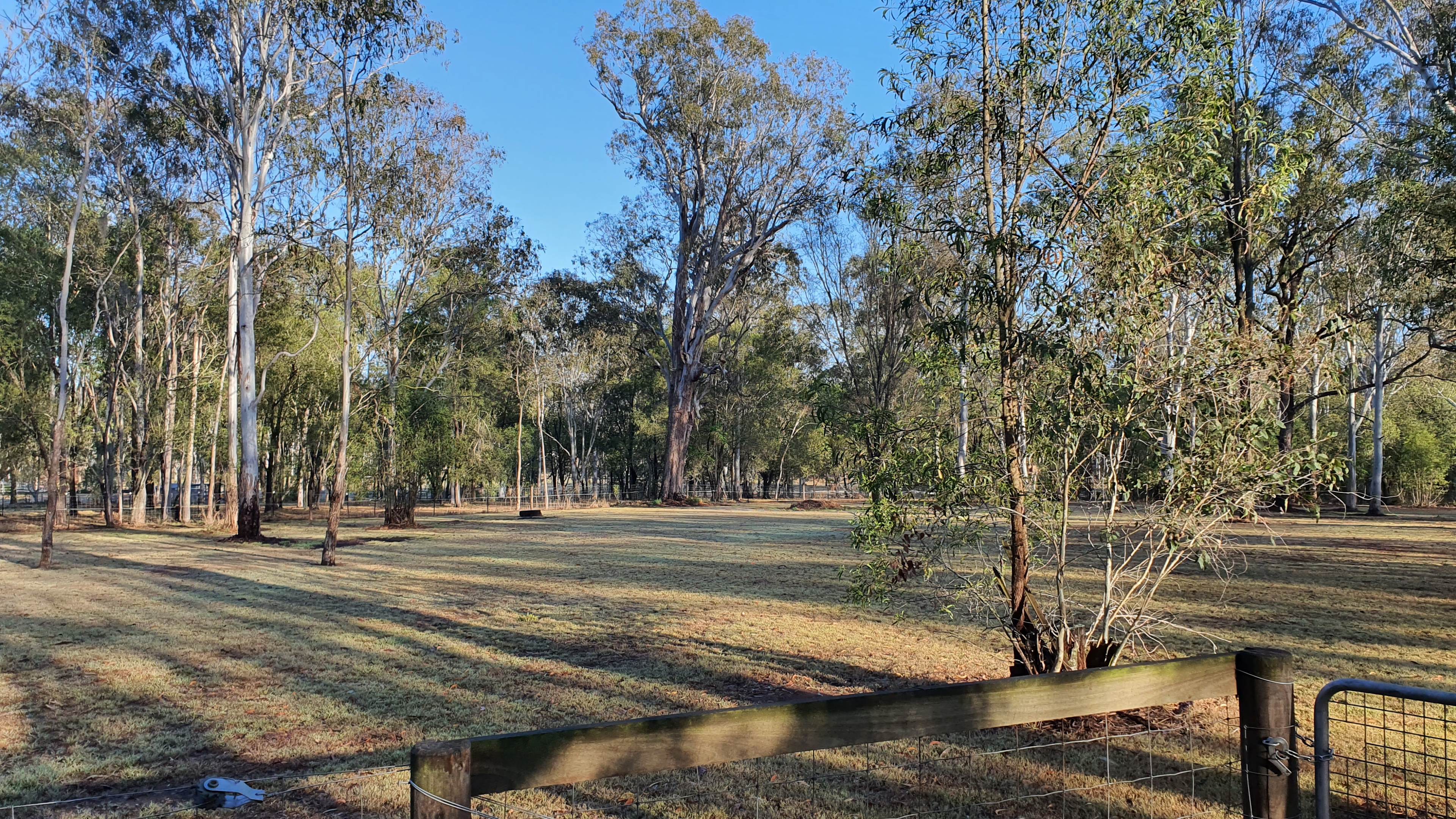 Chestnut Farm