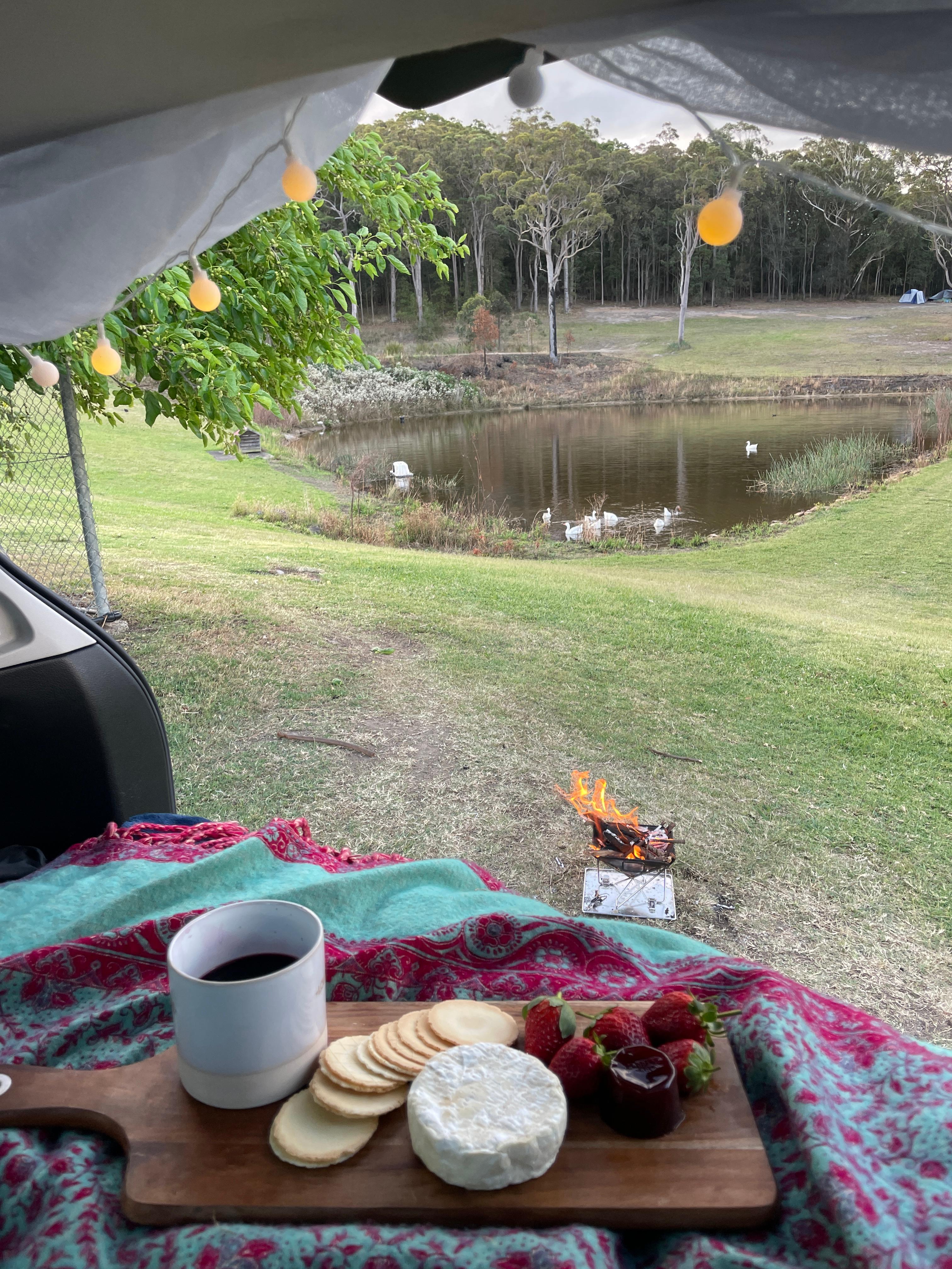 Mt Nellinda Campsite